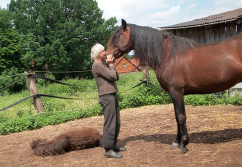 Innere Stille: mit dem Pferd ein- und ausatmen