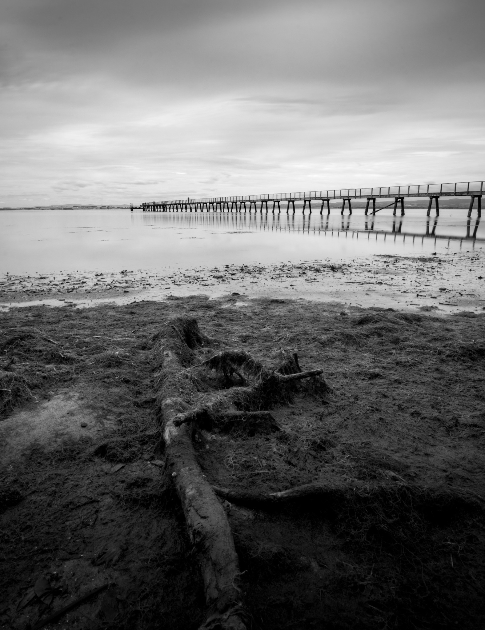 KAURI POINT WHARF BW 4