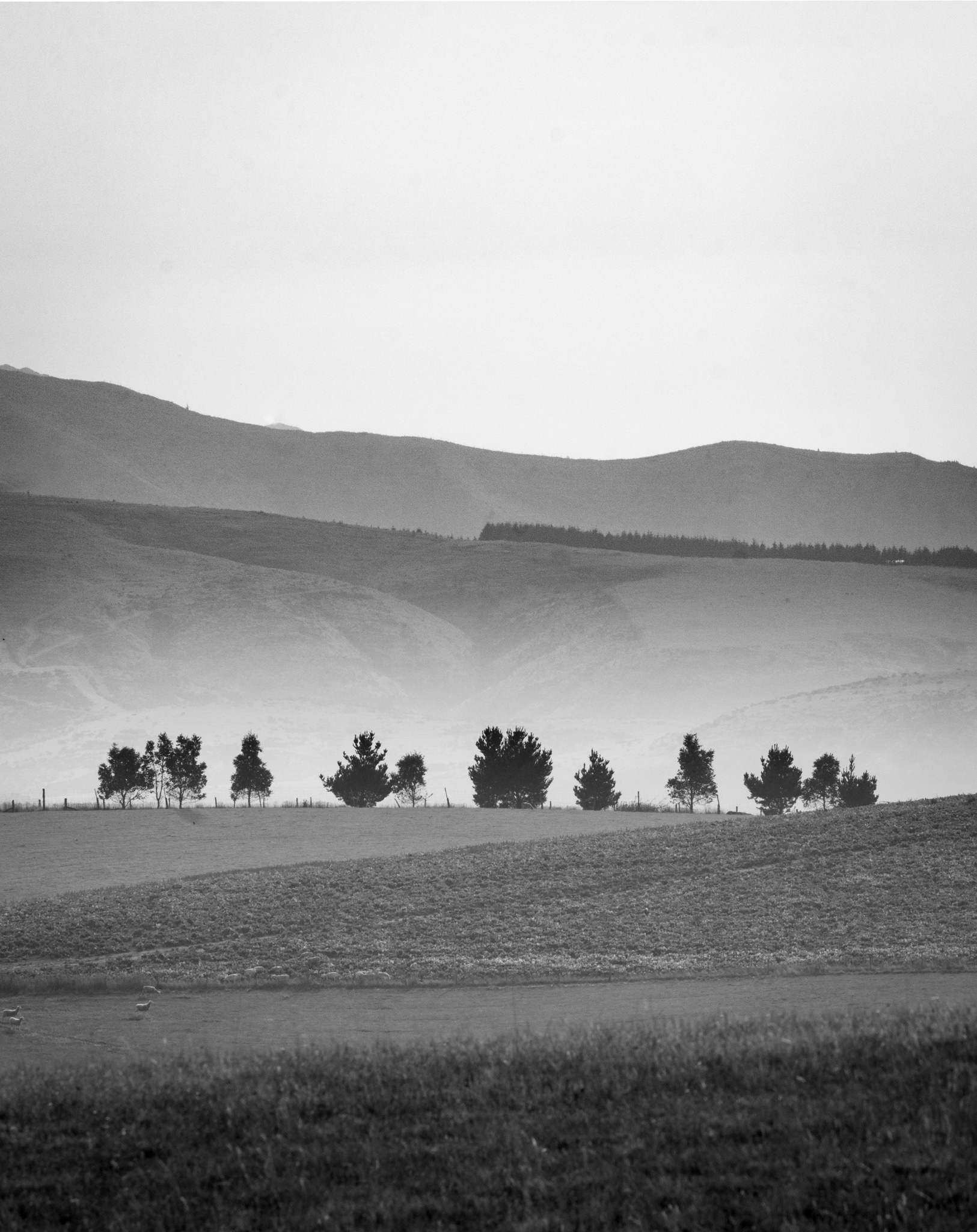 BURKES PASS BW 1