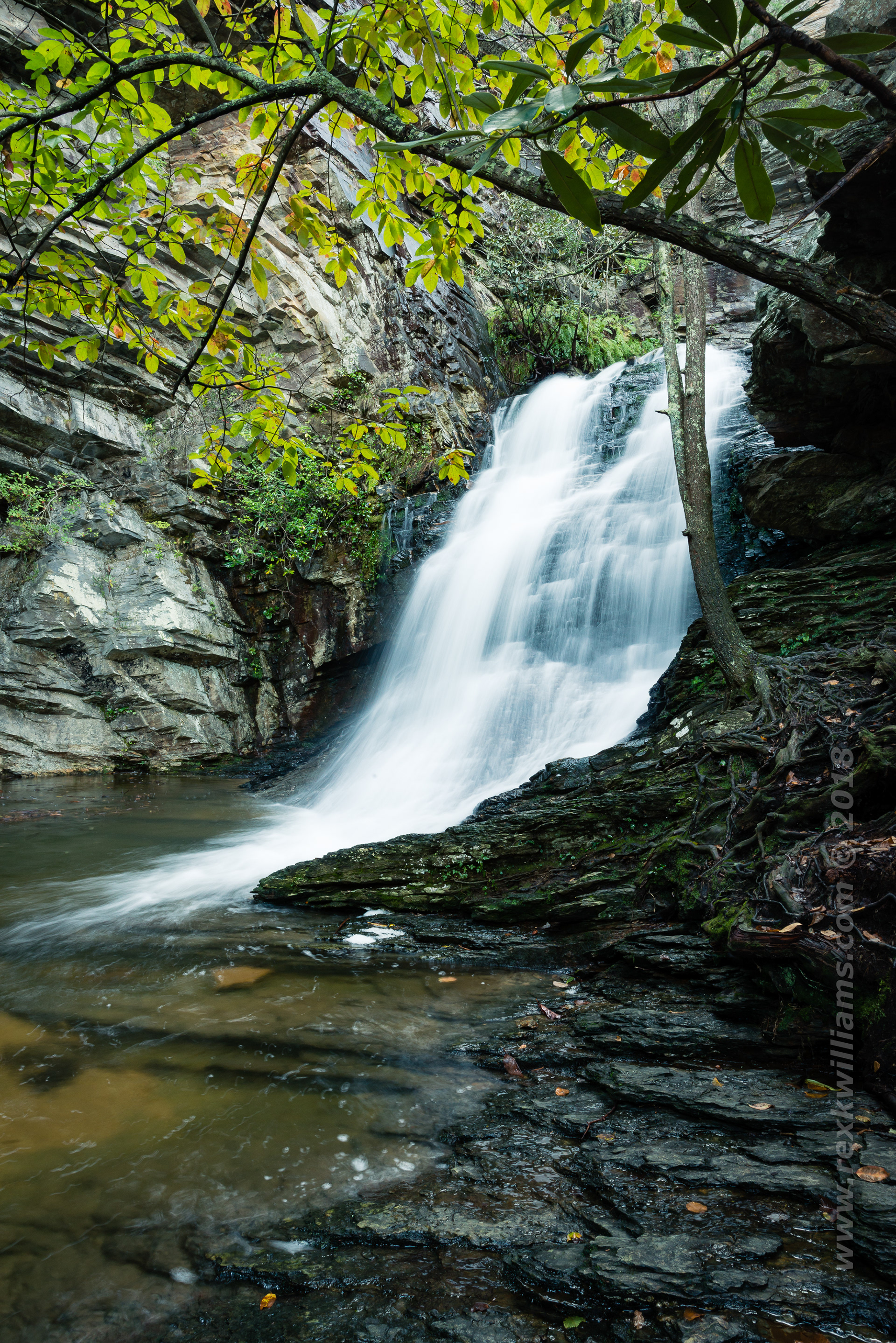 Rex Williams Photography - Lower Cascade Falls