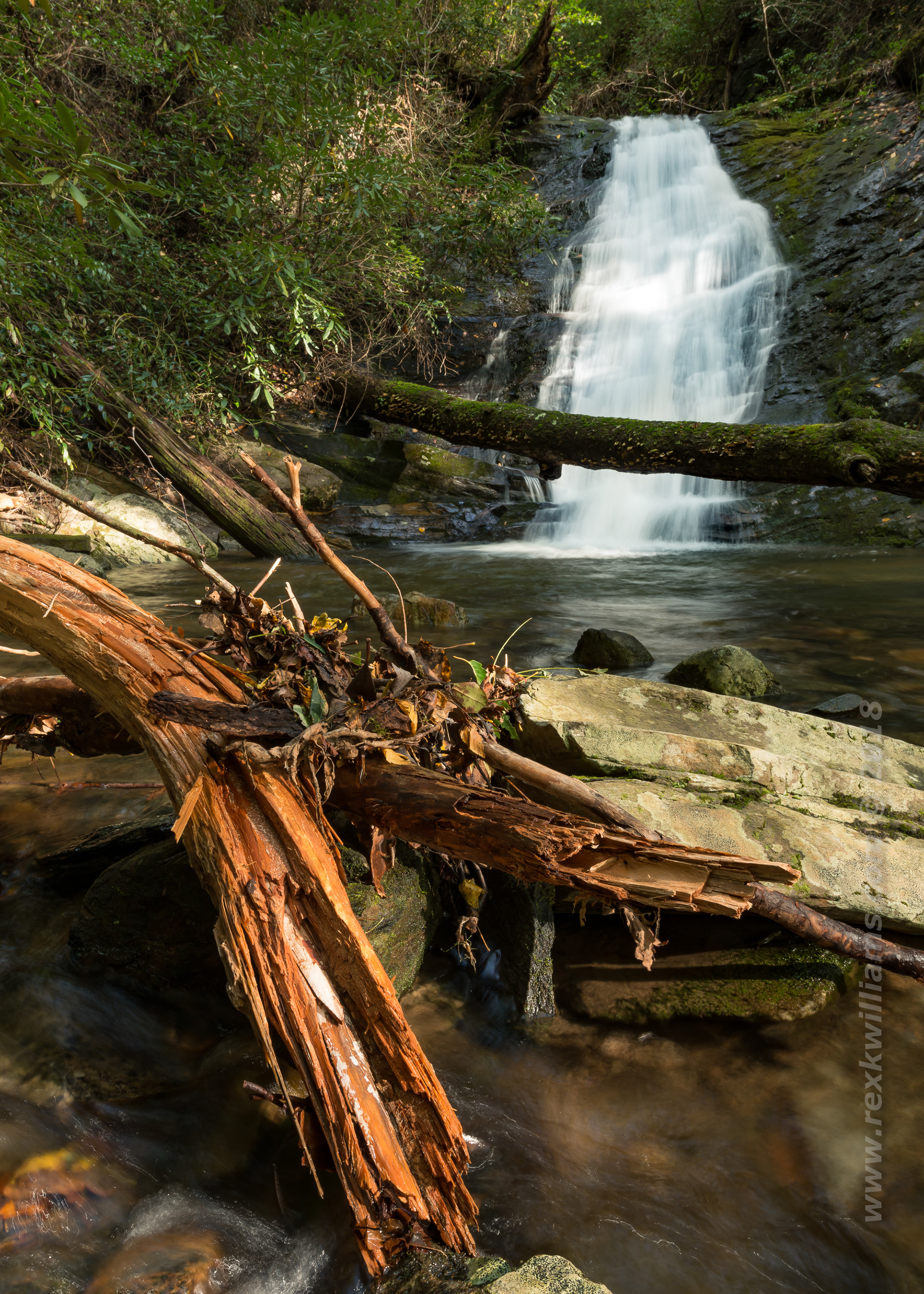 Hickory Branch Falls