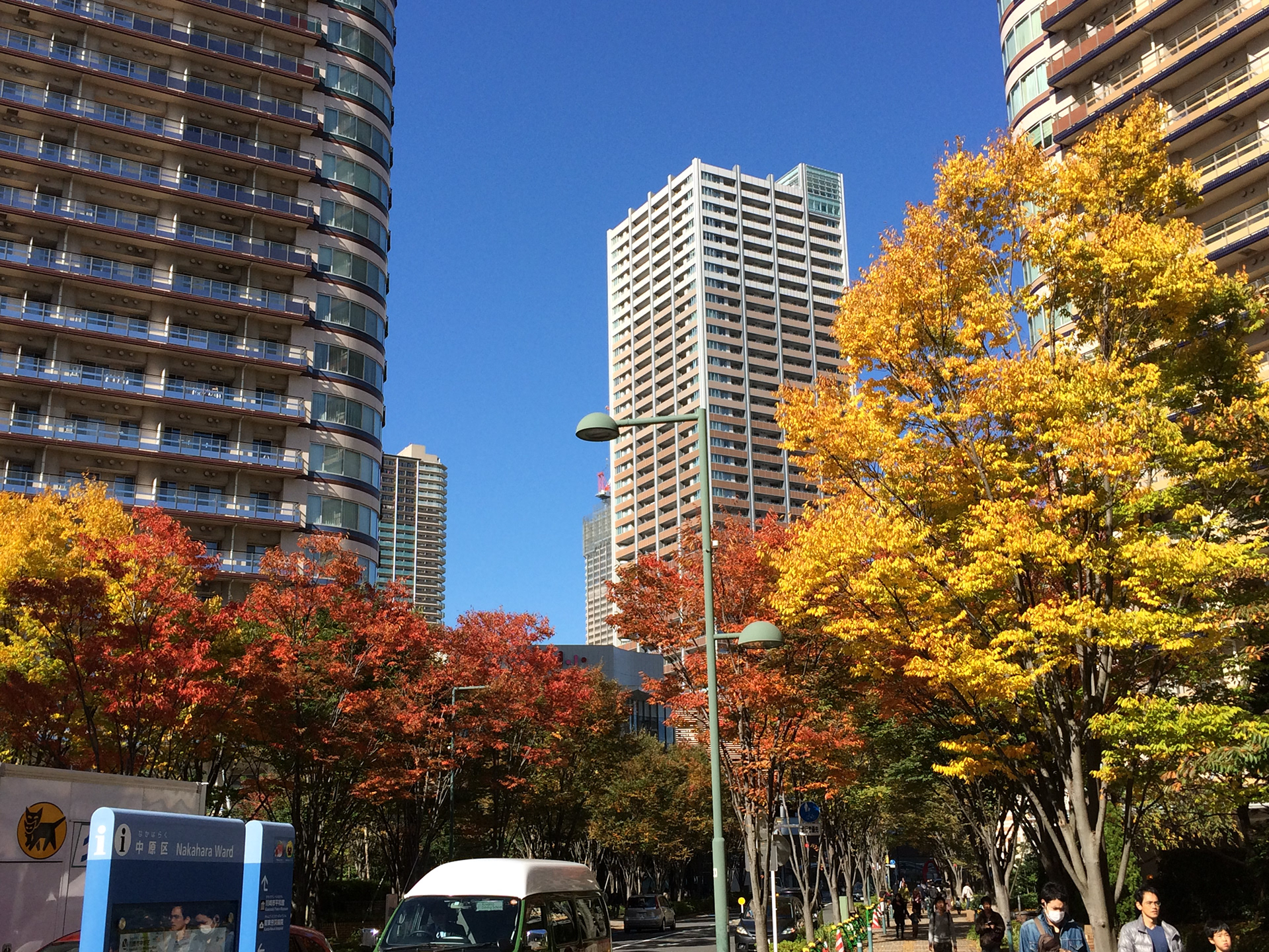 紅葉2019