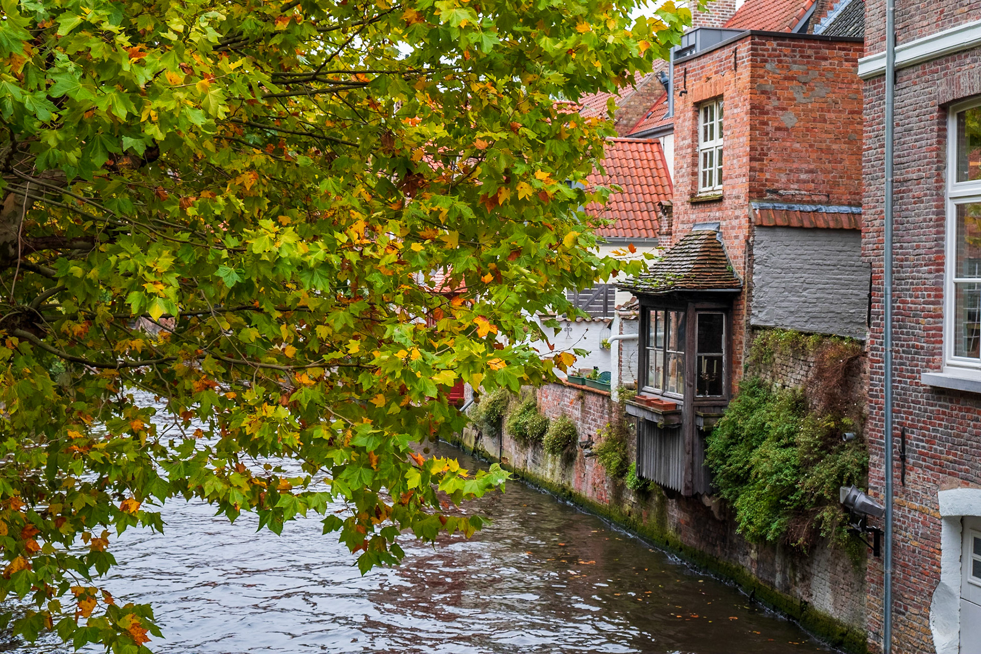 2019 | Belgium, Brugges | Djiver