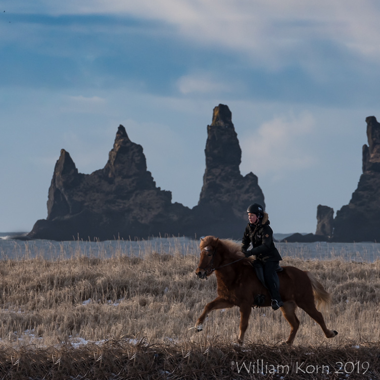 Reynisfjara Black Sand Beach