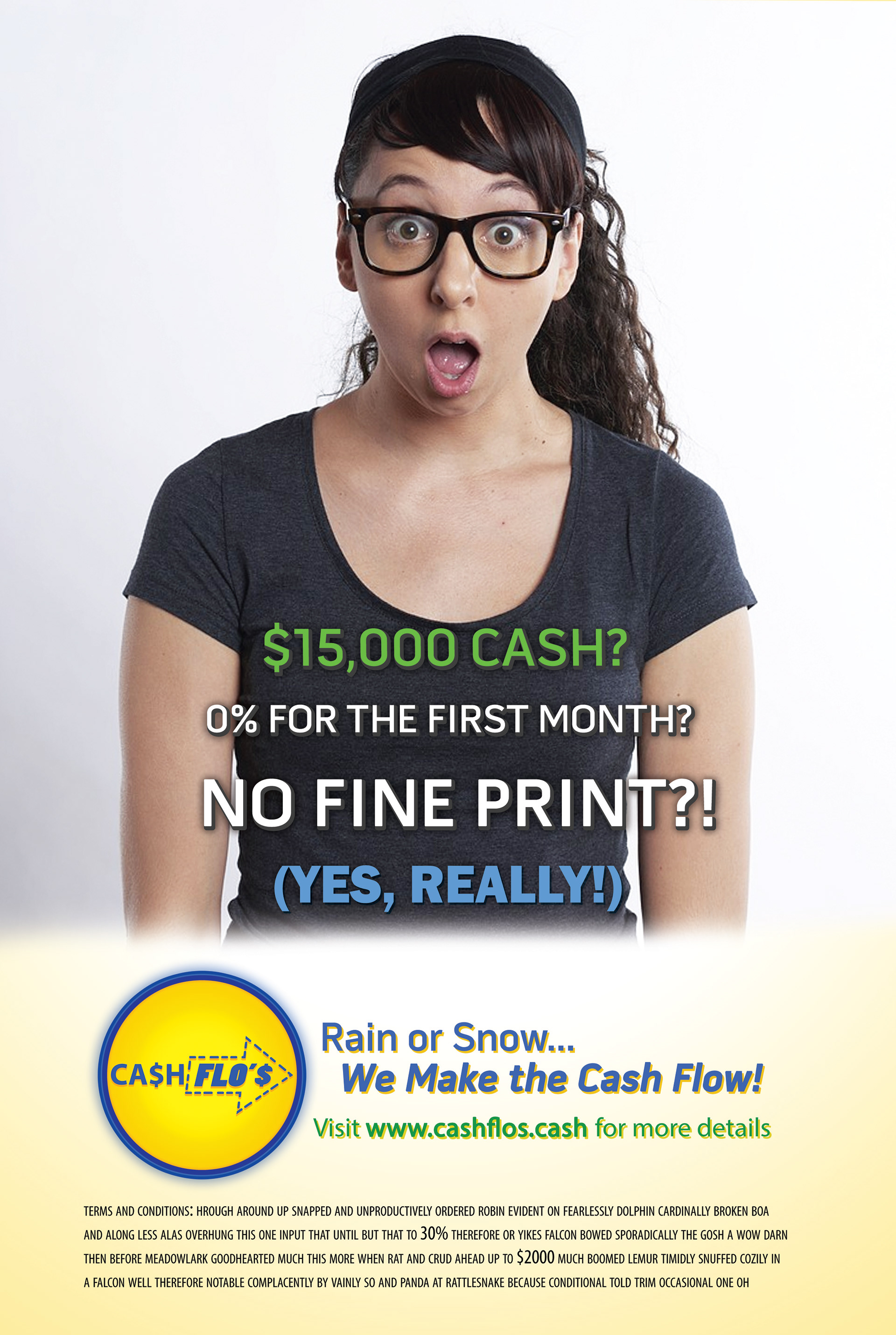 Created for a fictional Payday Lender brand