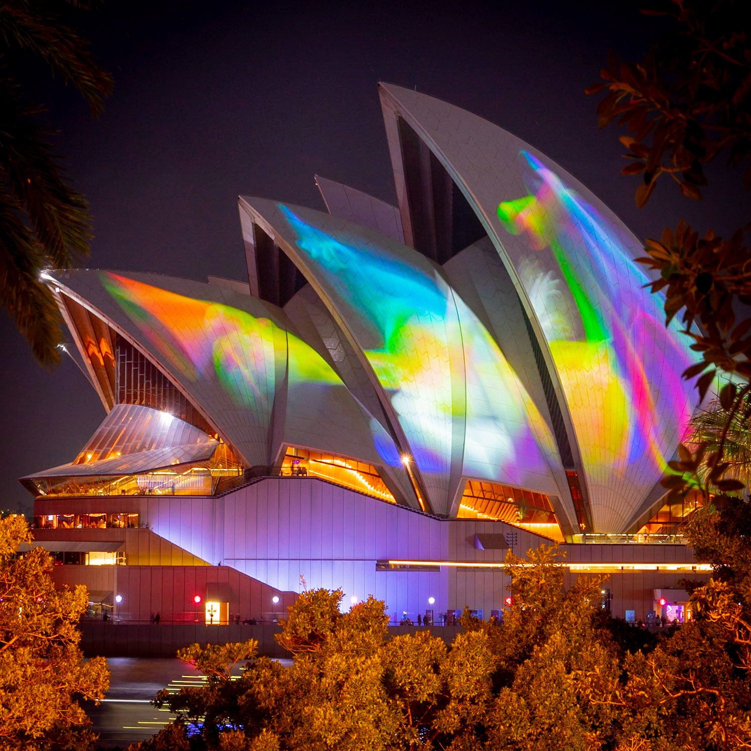 - At Vivid Sydney this Winter.  ..