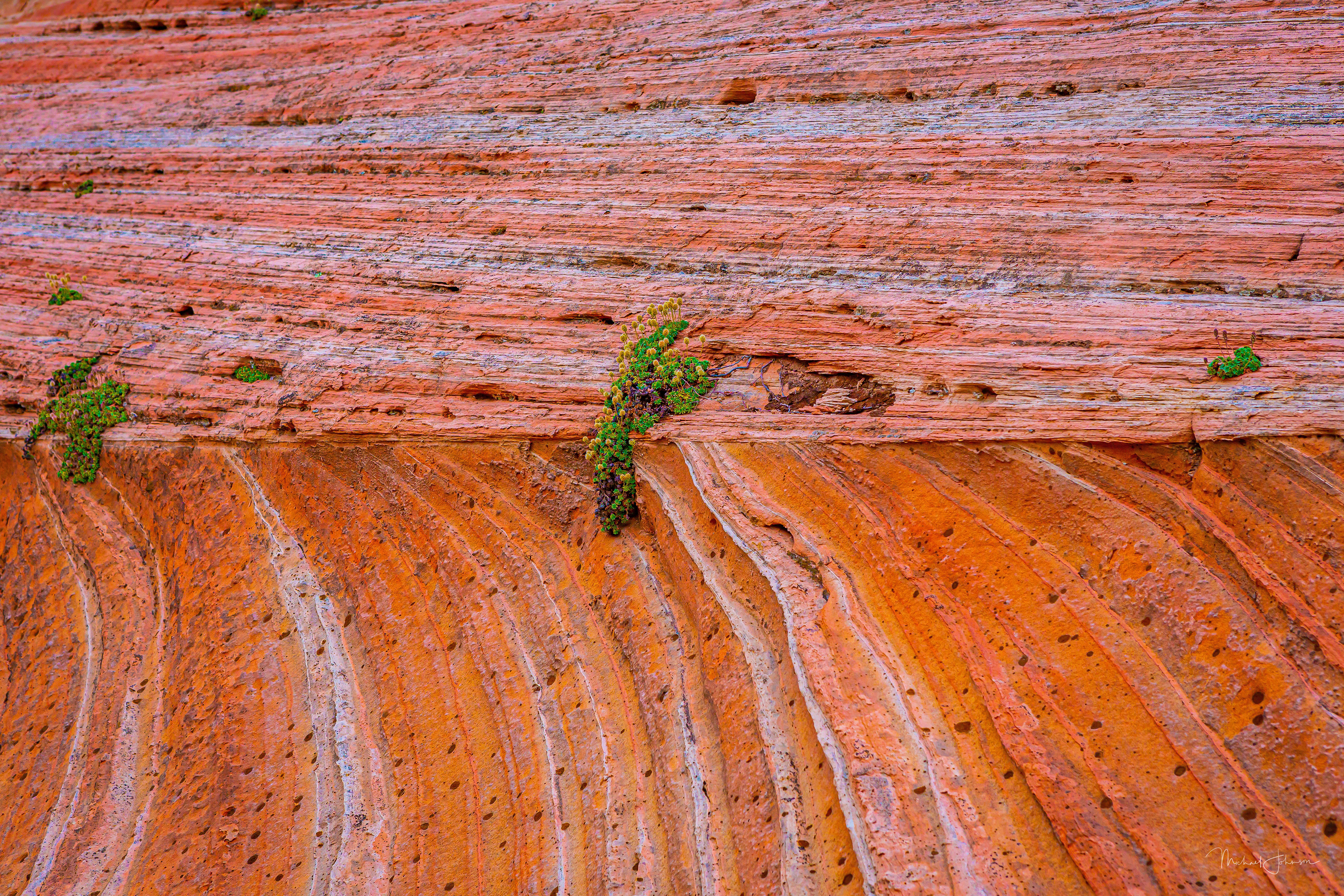 White Pocket Formation