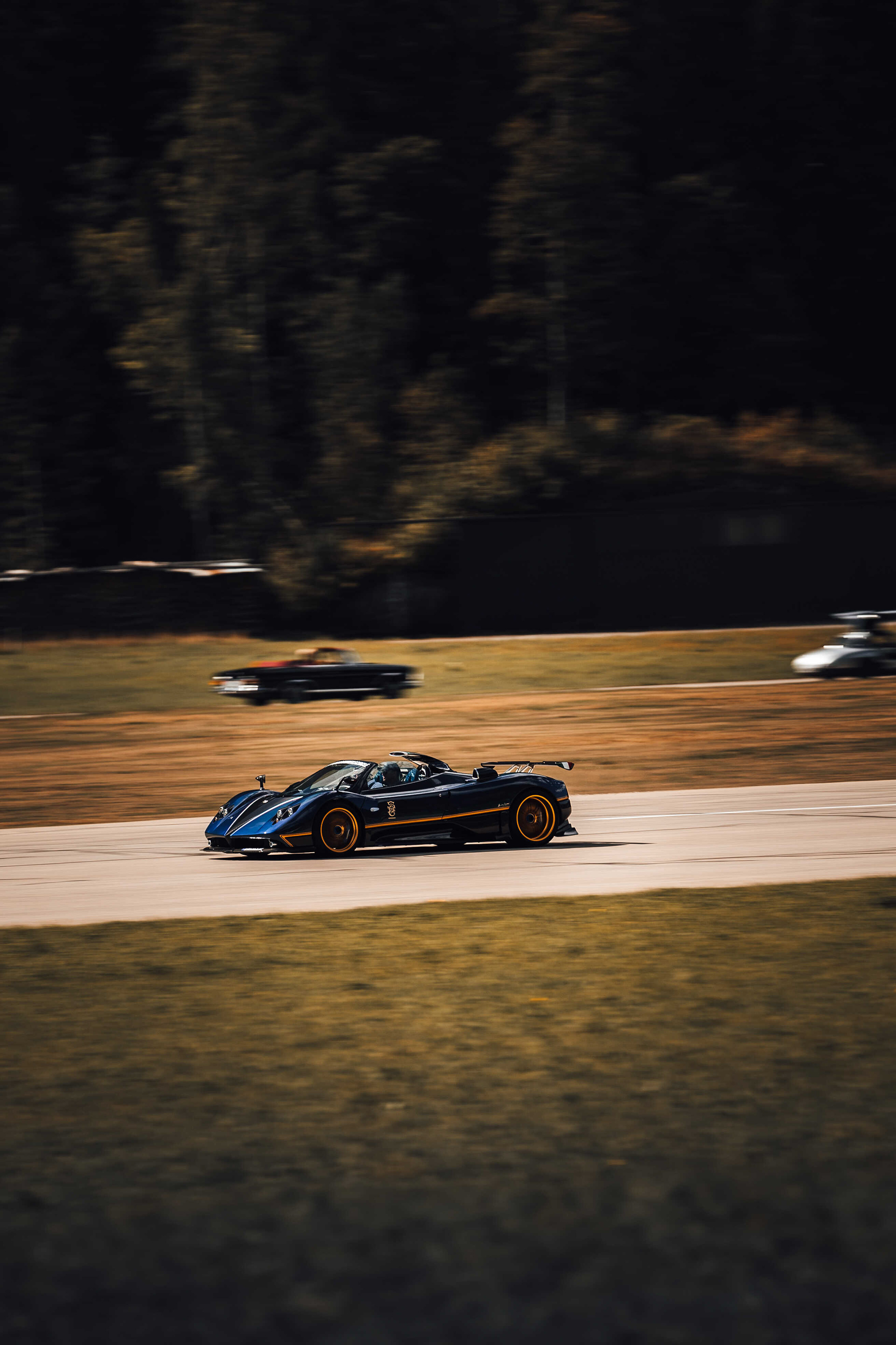 Pagani Zonda Unica