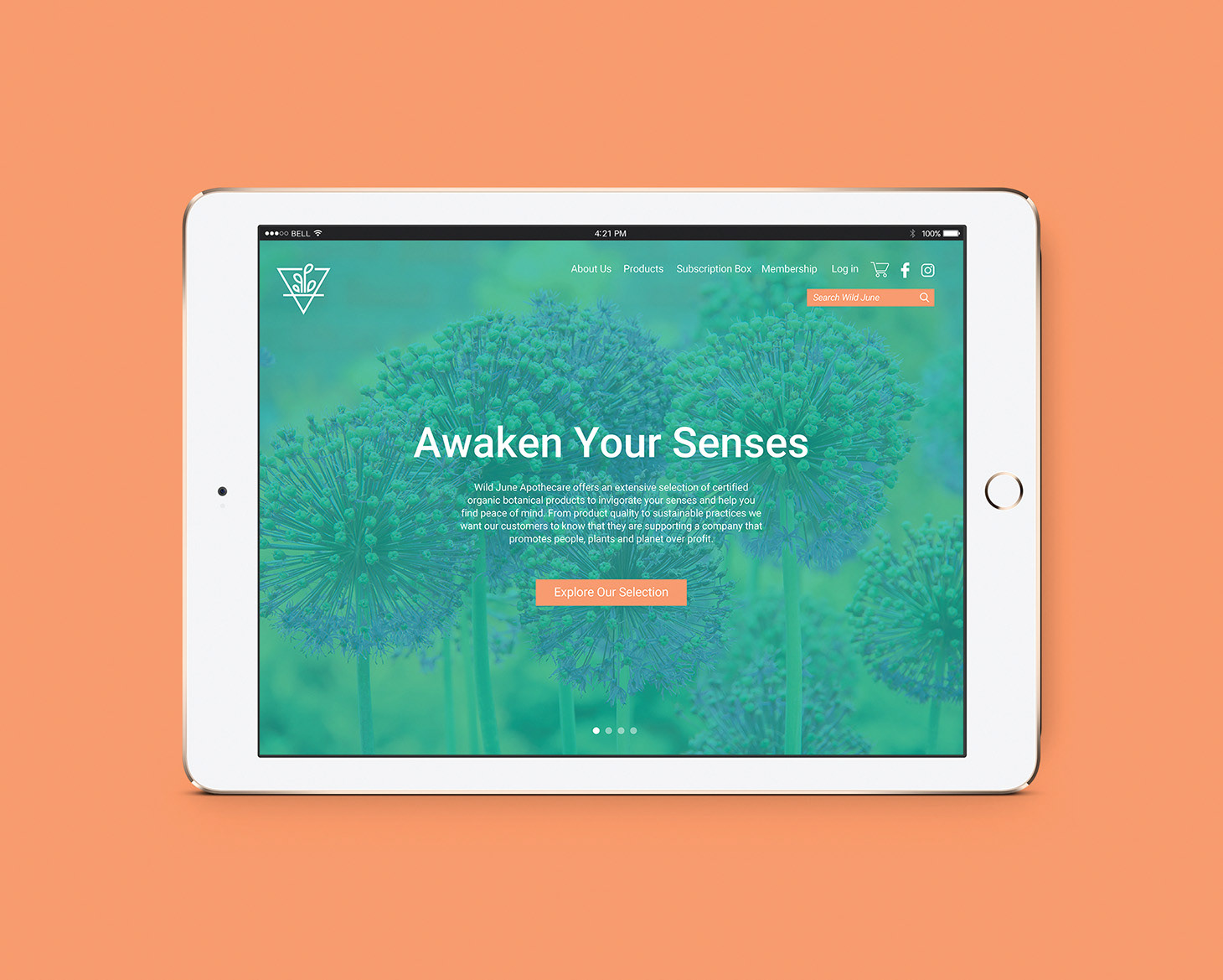 Wild June Tablet Screen