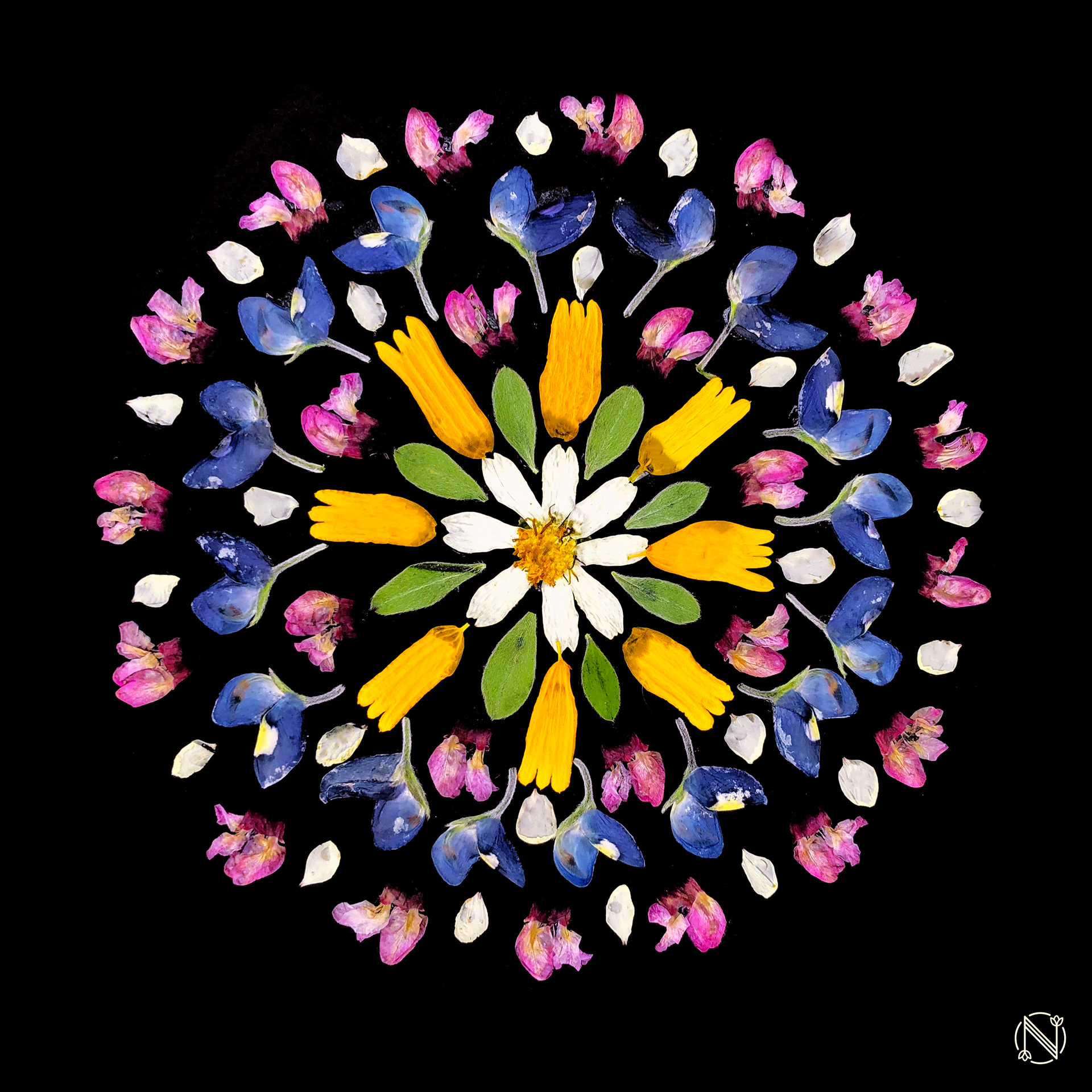 Mandala Vernal Equinox 2