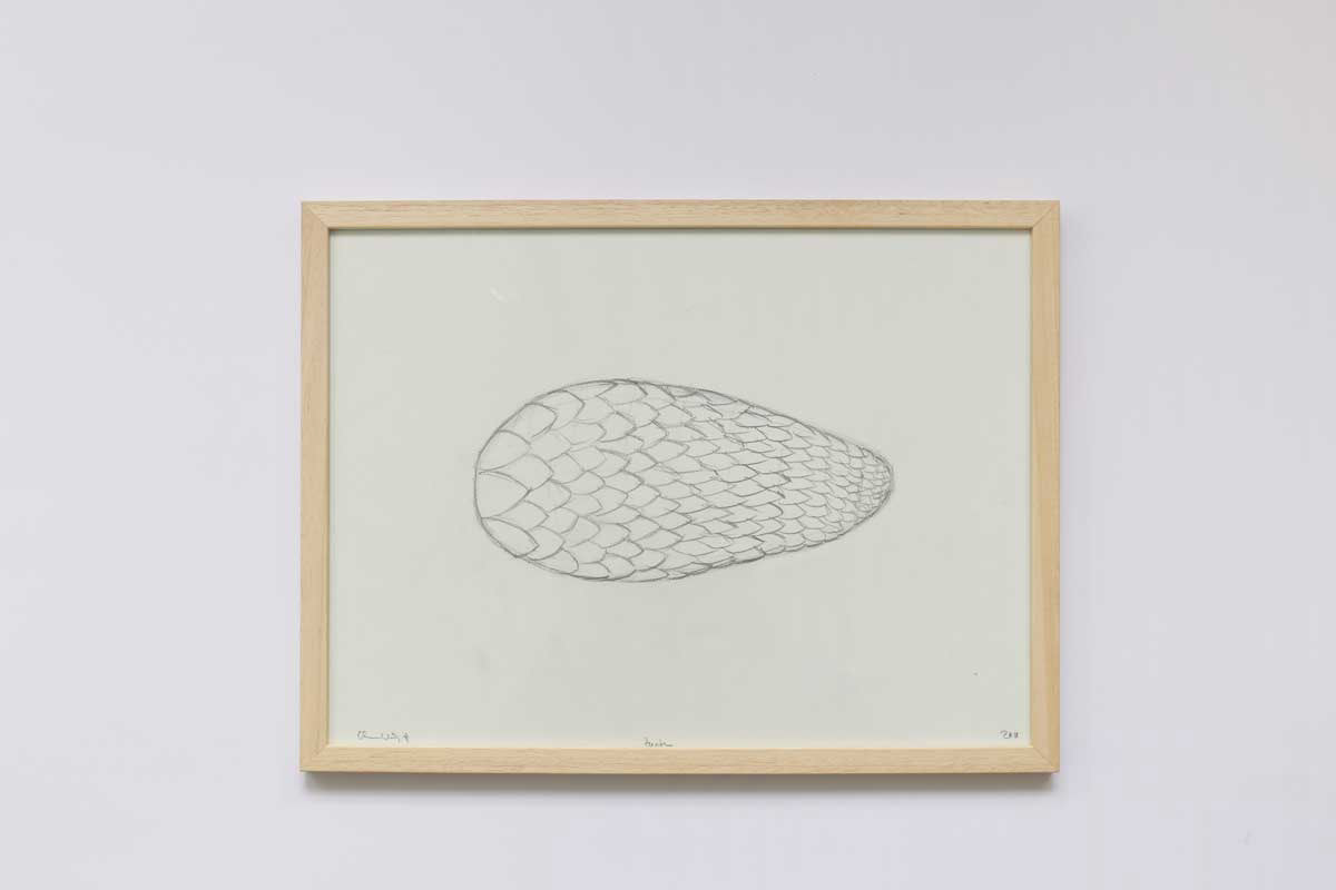 Christian Voigt, Zeichnung