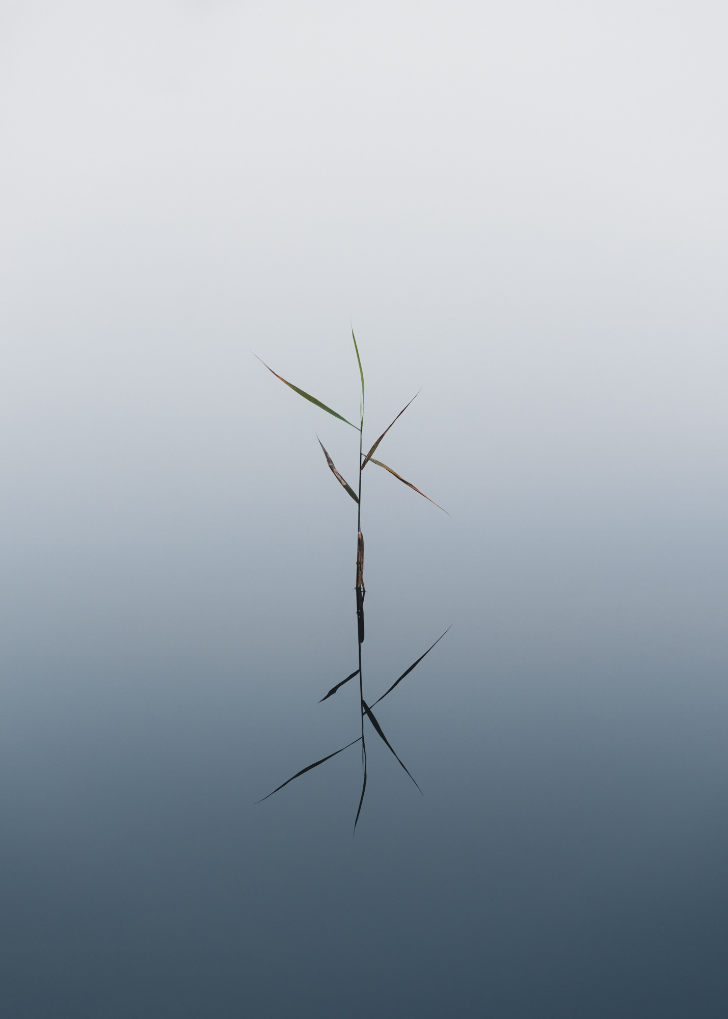 Details in Water II
