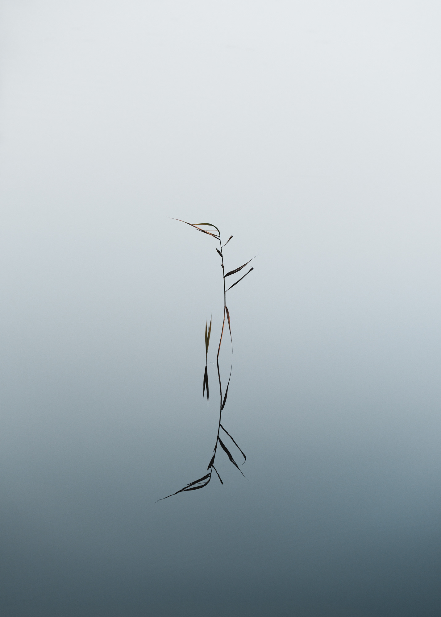 Details in Water V