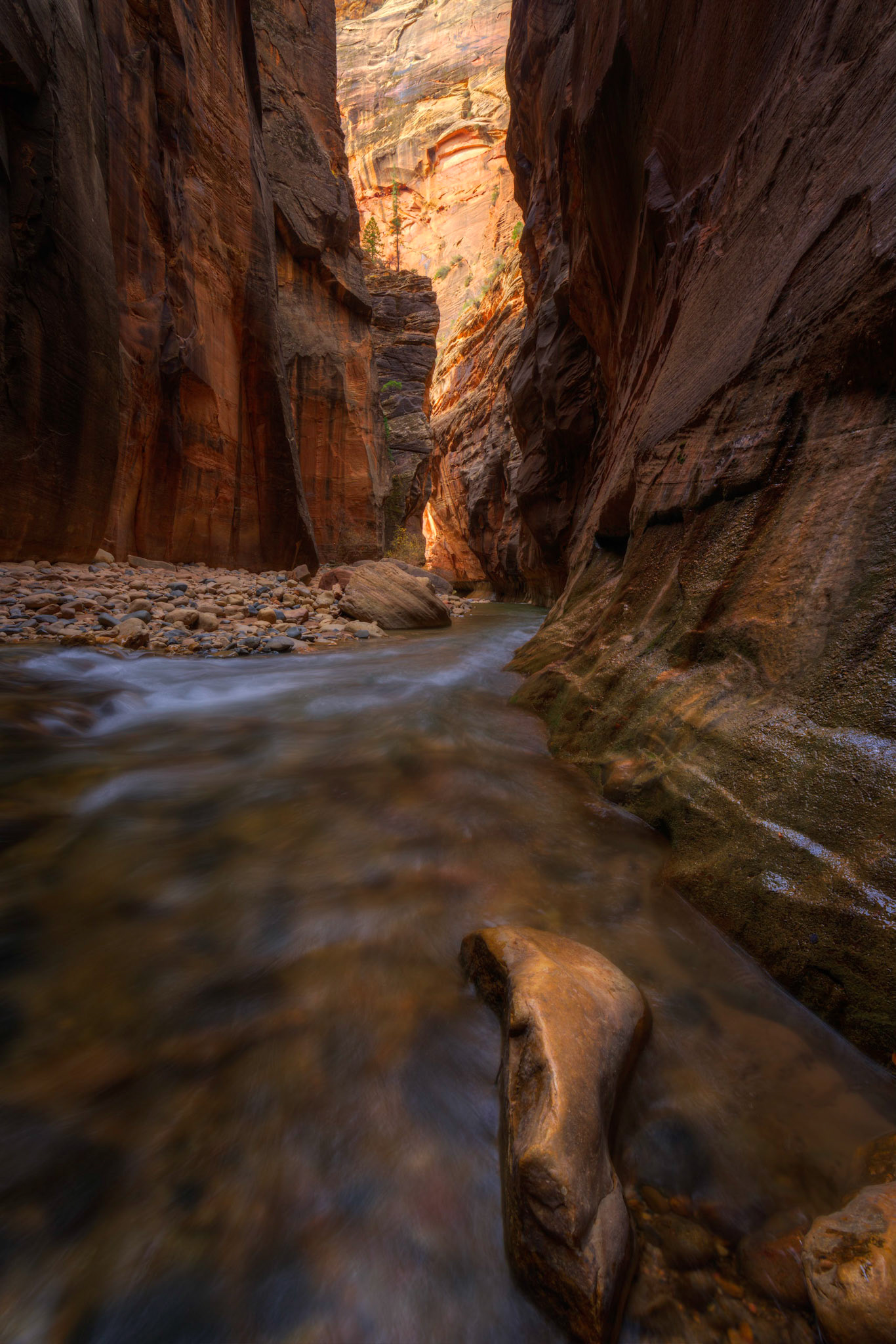 When in slot canyons, often the only light you see has been bounced around several times among the rocks.  Even though this image doesn't contain direct sunlight, is does show rock walls that are in direct sunlight.In order to make this image possible, I had to make mulitple exposures.  If I had exposed for the brightest part of the scene, all but the far wall would have been almost completely black.  If I had exposed for the darkest parts of the scene,  the far wall would have been completely white.  Zion National ParkUtahNovember 15, 2017This is an HDR image consisting of 3 exposures merged in Photomatix Pro. Additional processing in Lightroom and Photoshop.PENTAX K-1, HD PENTAX-D FA 15-30mm F2.8ED SDM WRISO 100 15 mm  0.4 sec at ƒ / 20