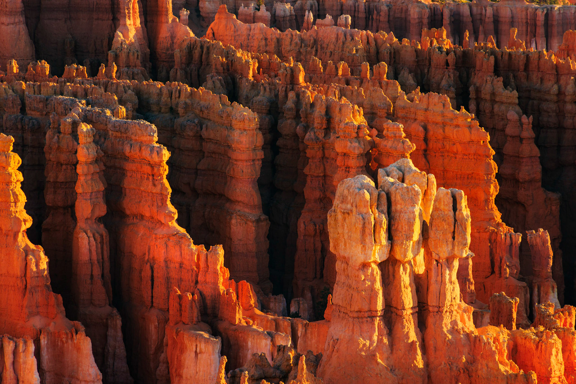 Hoodoos in Bryce Canyon National Park.I've also referenced the terracota army of  Qin Shi Huang, when describing the formations of Bryce Canyon.  But I've also been reminded of the idea of 'replicants' -- human clones that were suited for a specific purpose in Derek Dick's Novel, "Do Androids Dream of Electric Sheep", which was subsequently turned into a bit of a movie franchise under the title of "Blade Runner".Bryce Canyon National ParkUtahNovember 11, 2017PENTAX K-1, TAMRON 28-300mm F3.5-6.3 Ultra zoom XRISO 100 180 mm  ¹⁄₁₃ sec at ƒ / 11