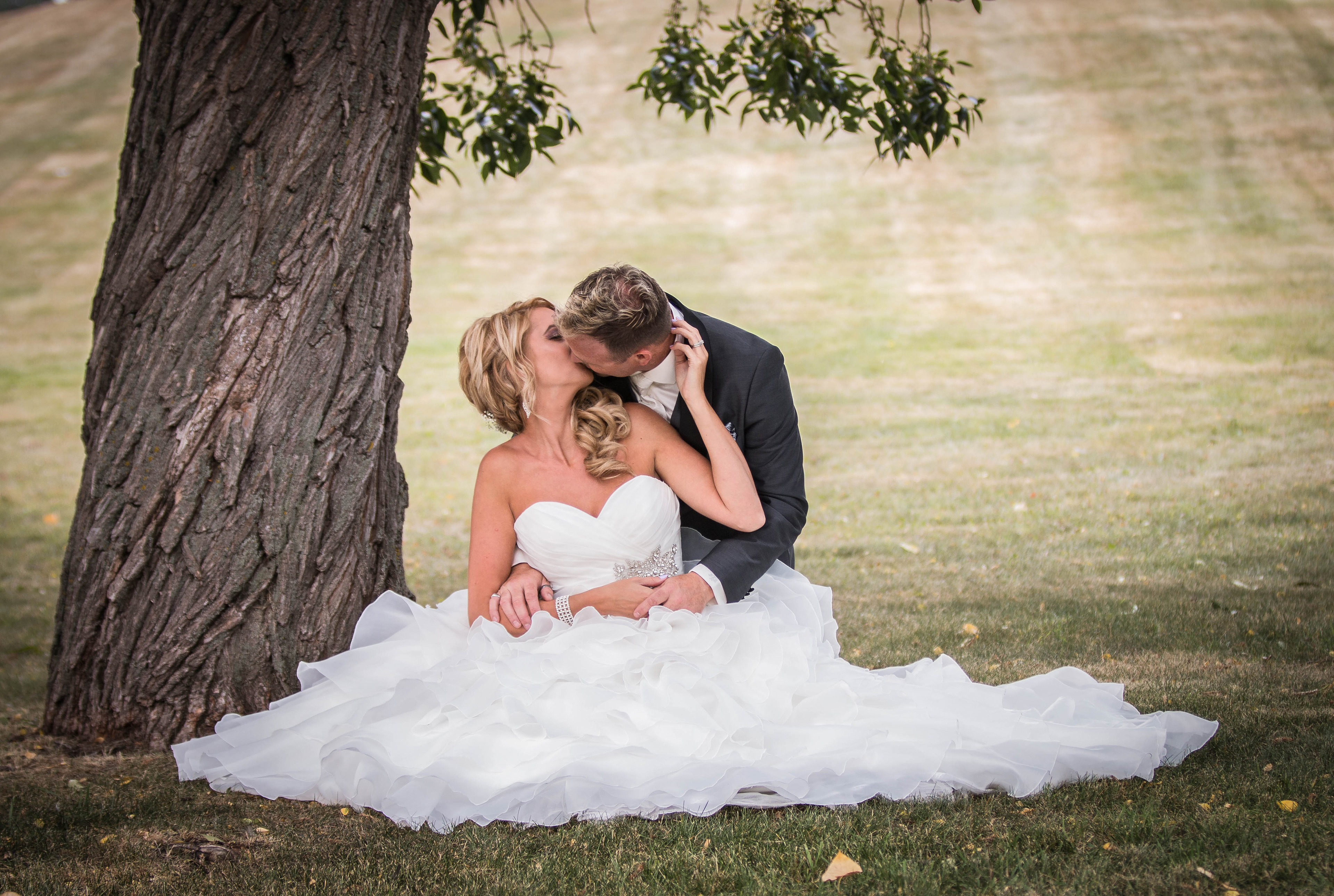 Bride and groom sitting by a tree in Edmonton Alberta