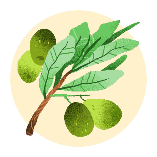Olive