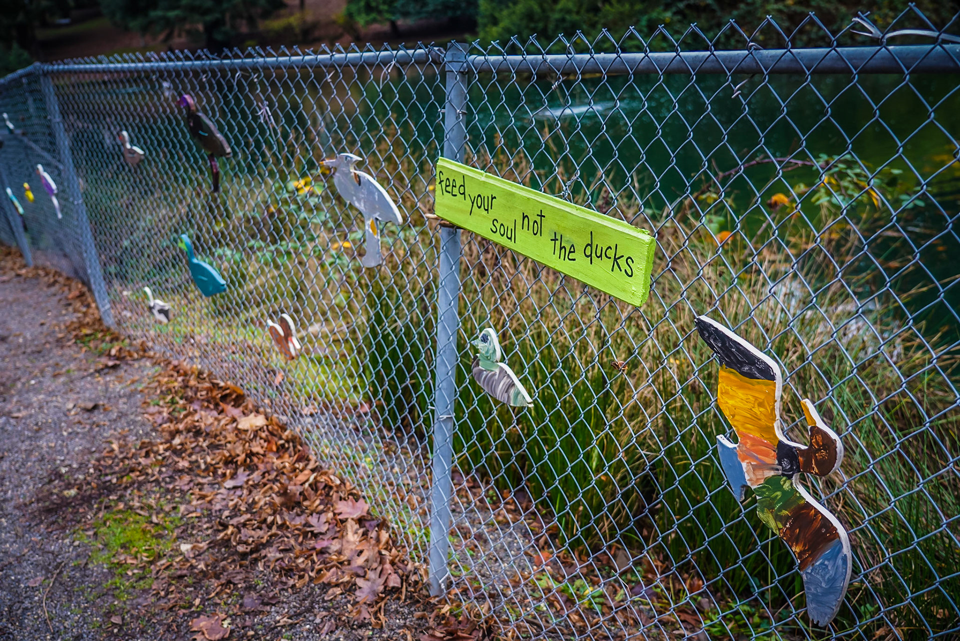 Portland Christmas - 2018