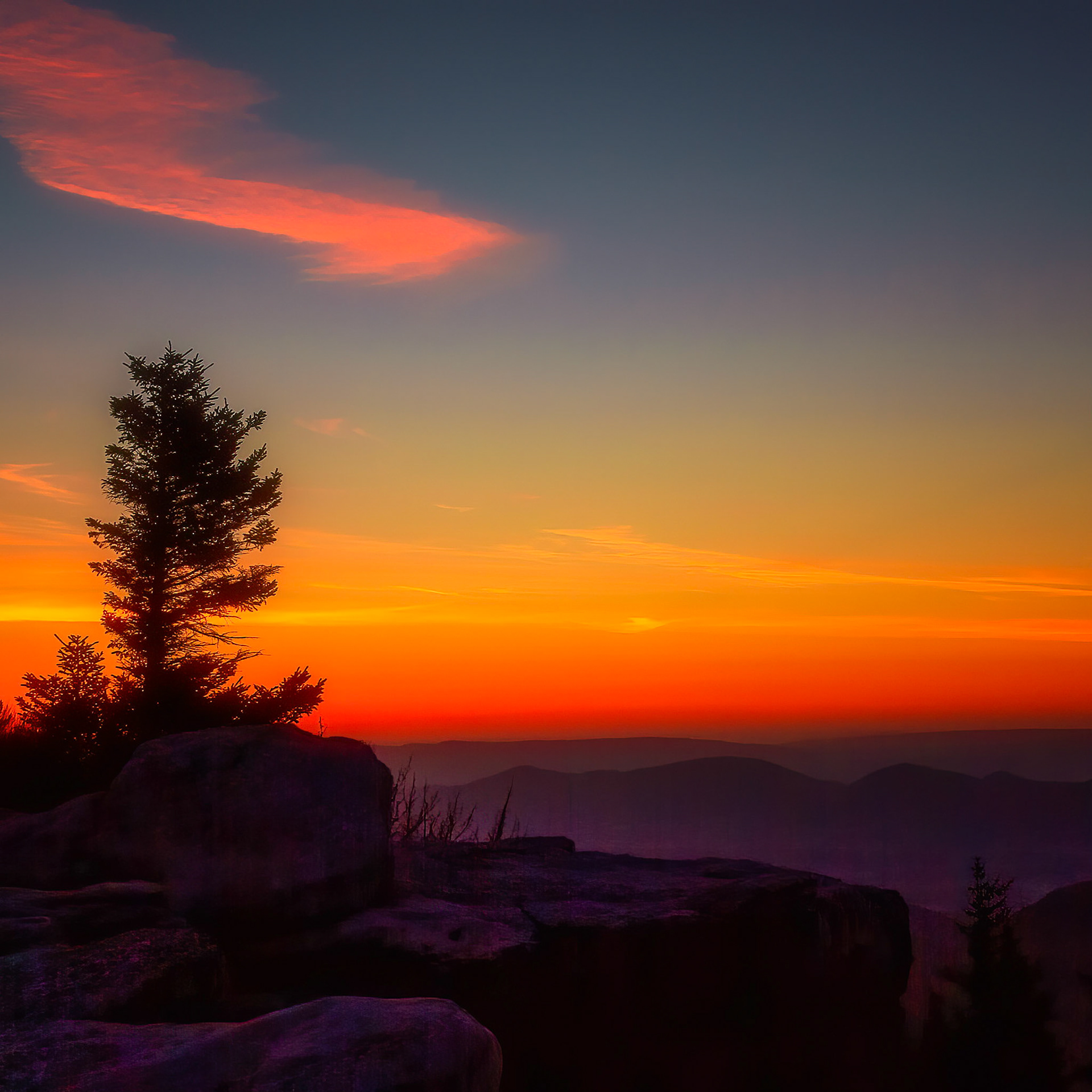 Dolly Sods dawn