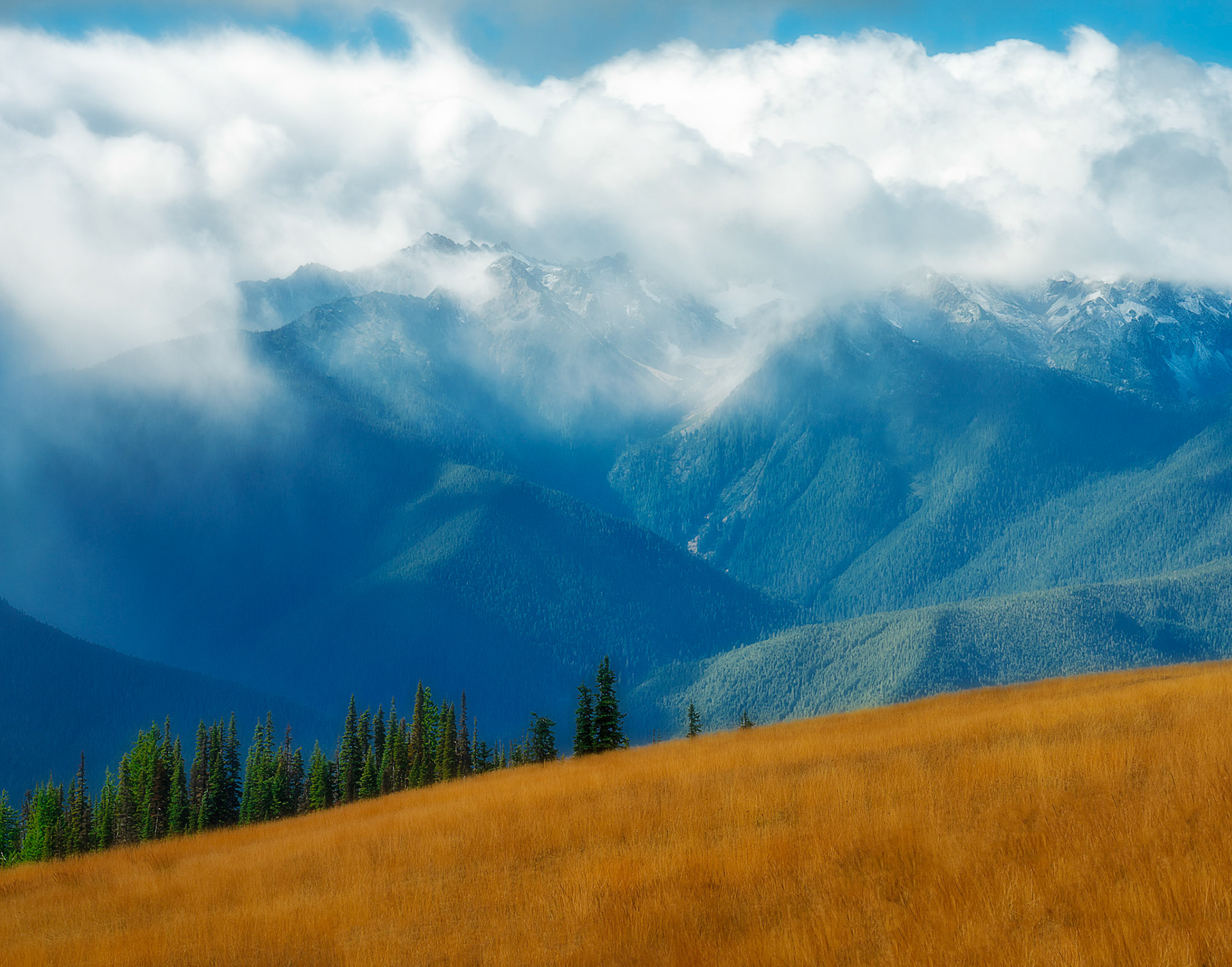 Hurricane Ridge
