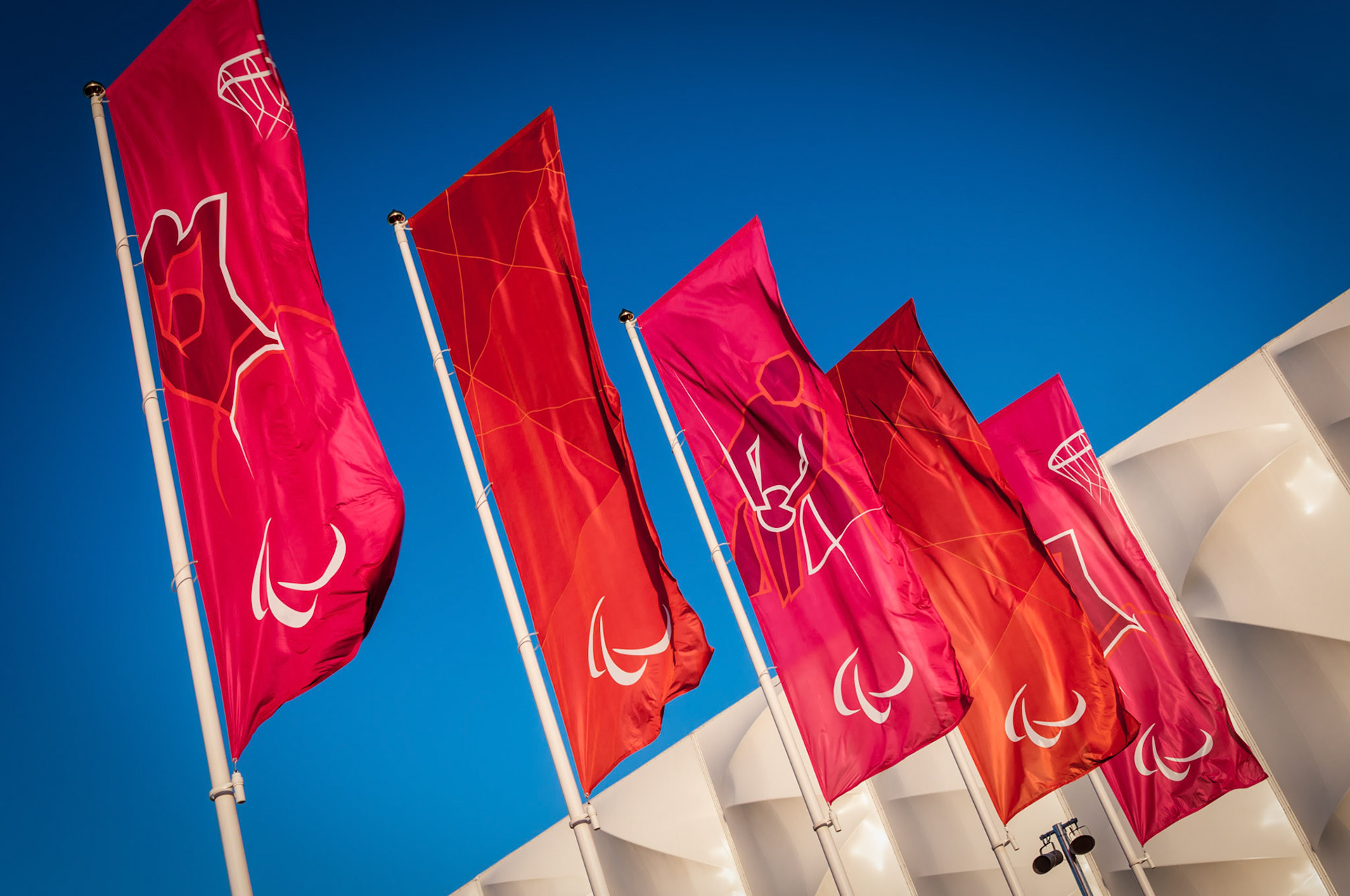 Paralympic Flags
