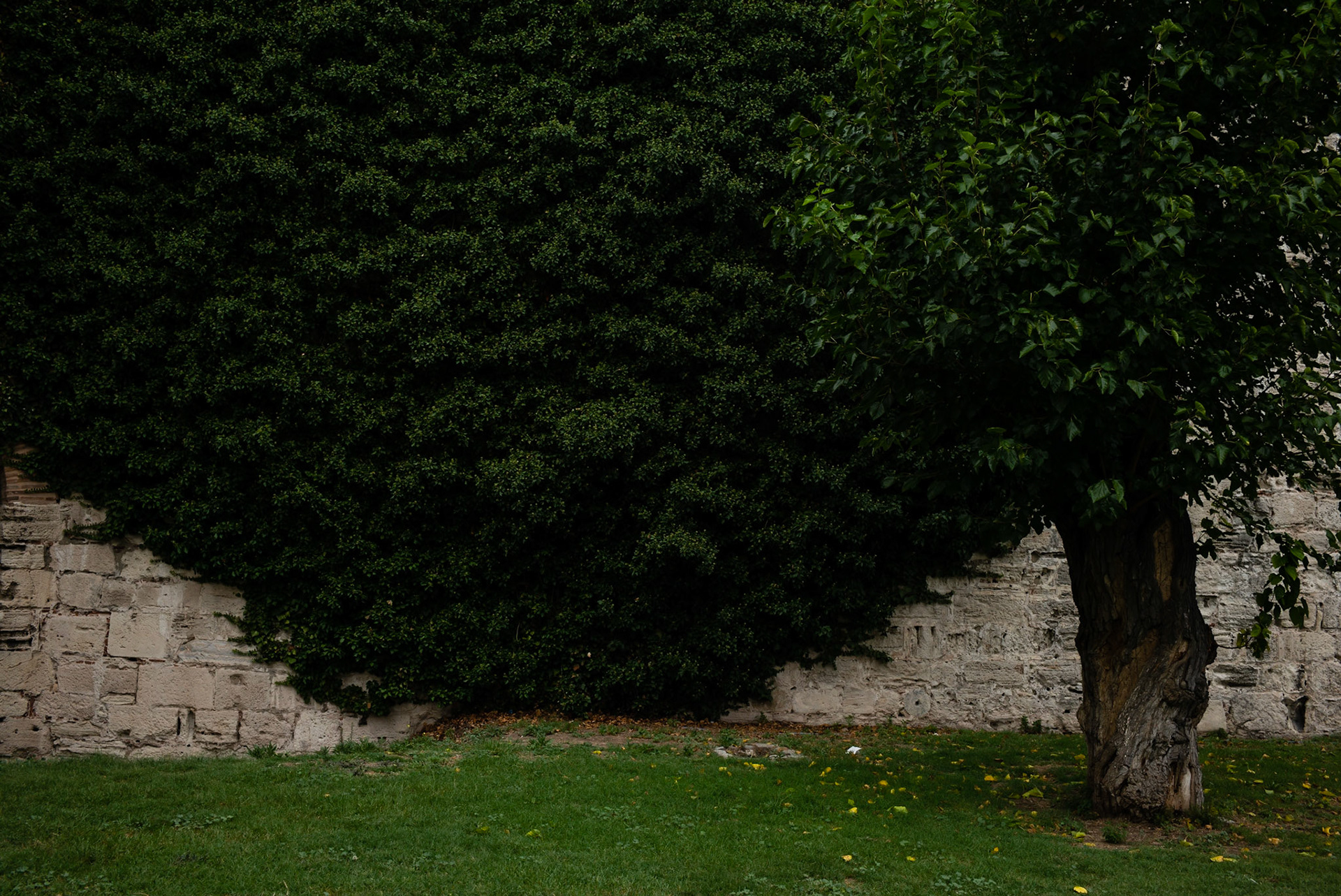 Istanbul, 2014