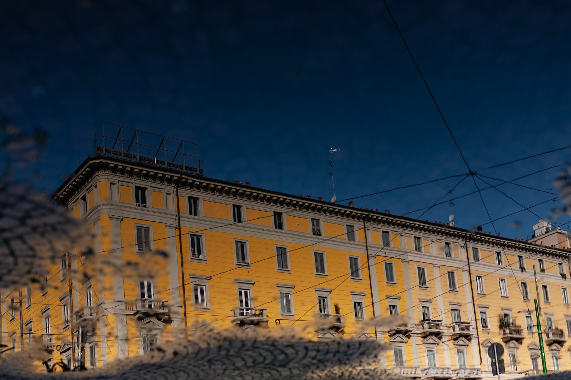 Puddle Reflection 14