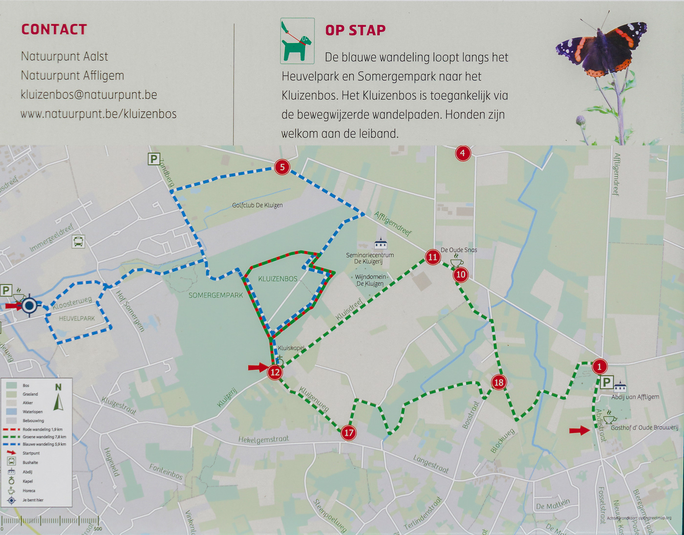reportage-rietjes-natuurgebied-kluizenbos-27-04-2020