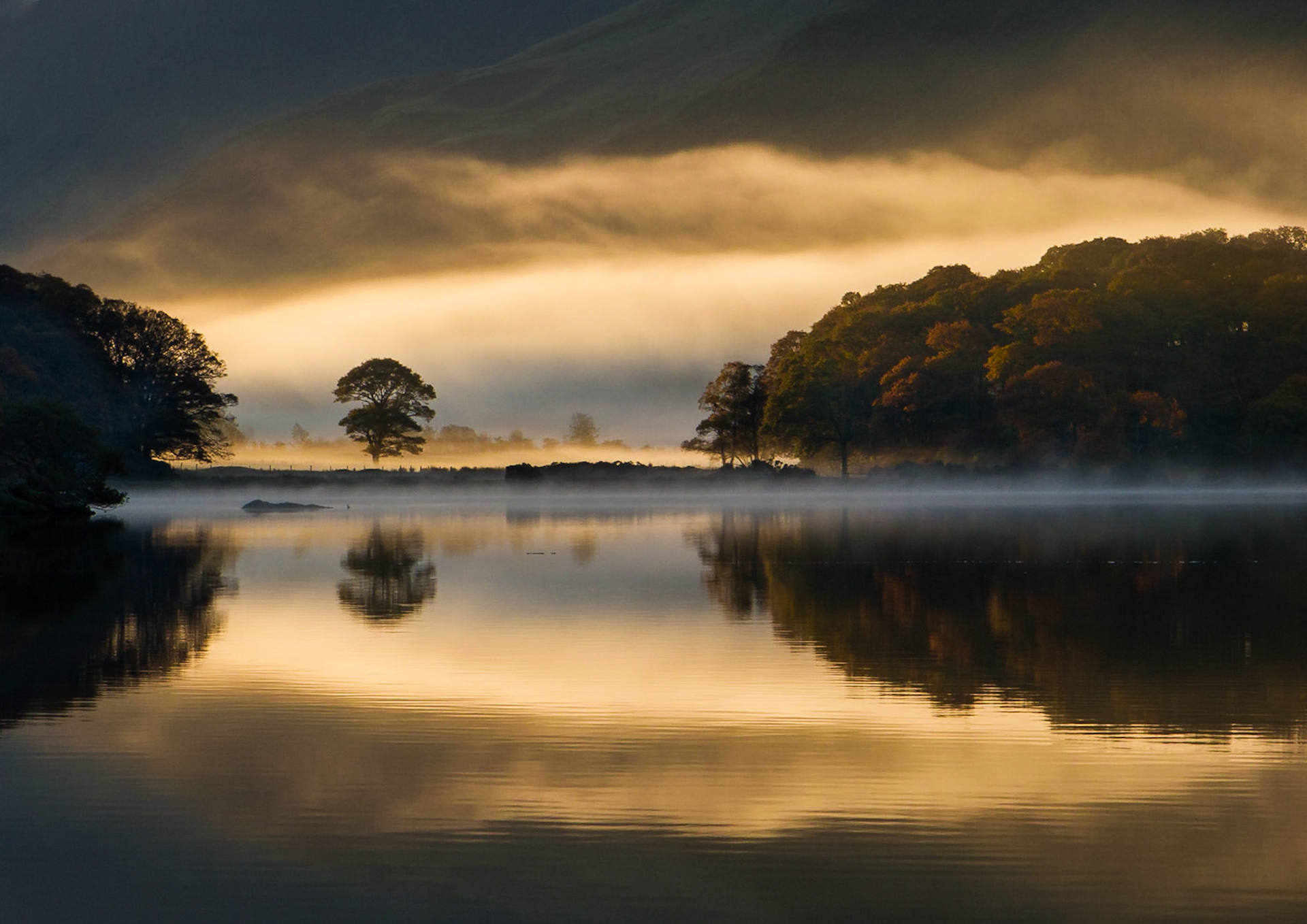 Morning Light on Mist