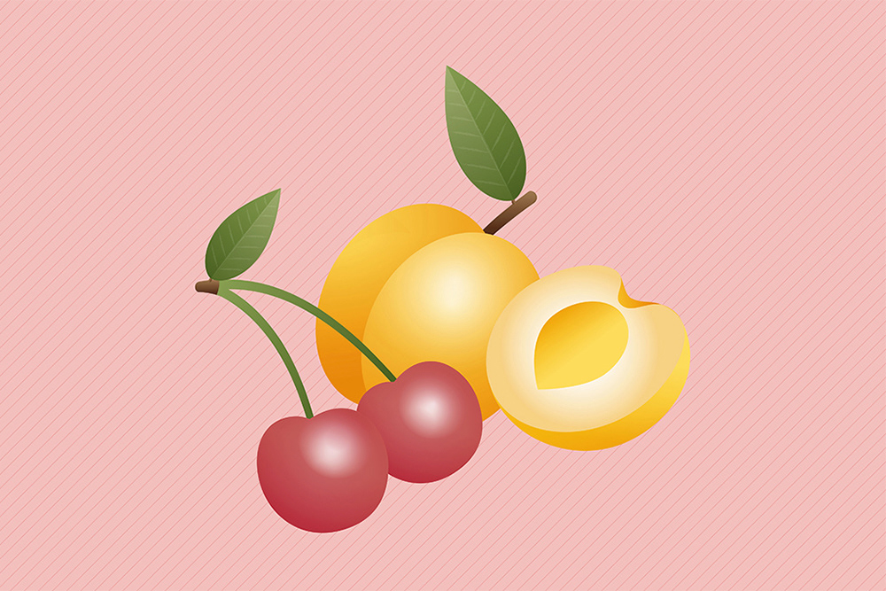 Cherry and apricot illustration on rose background