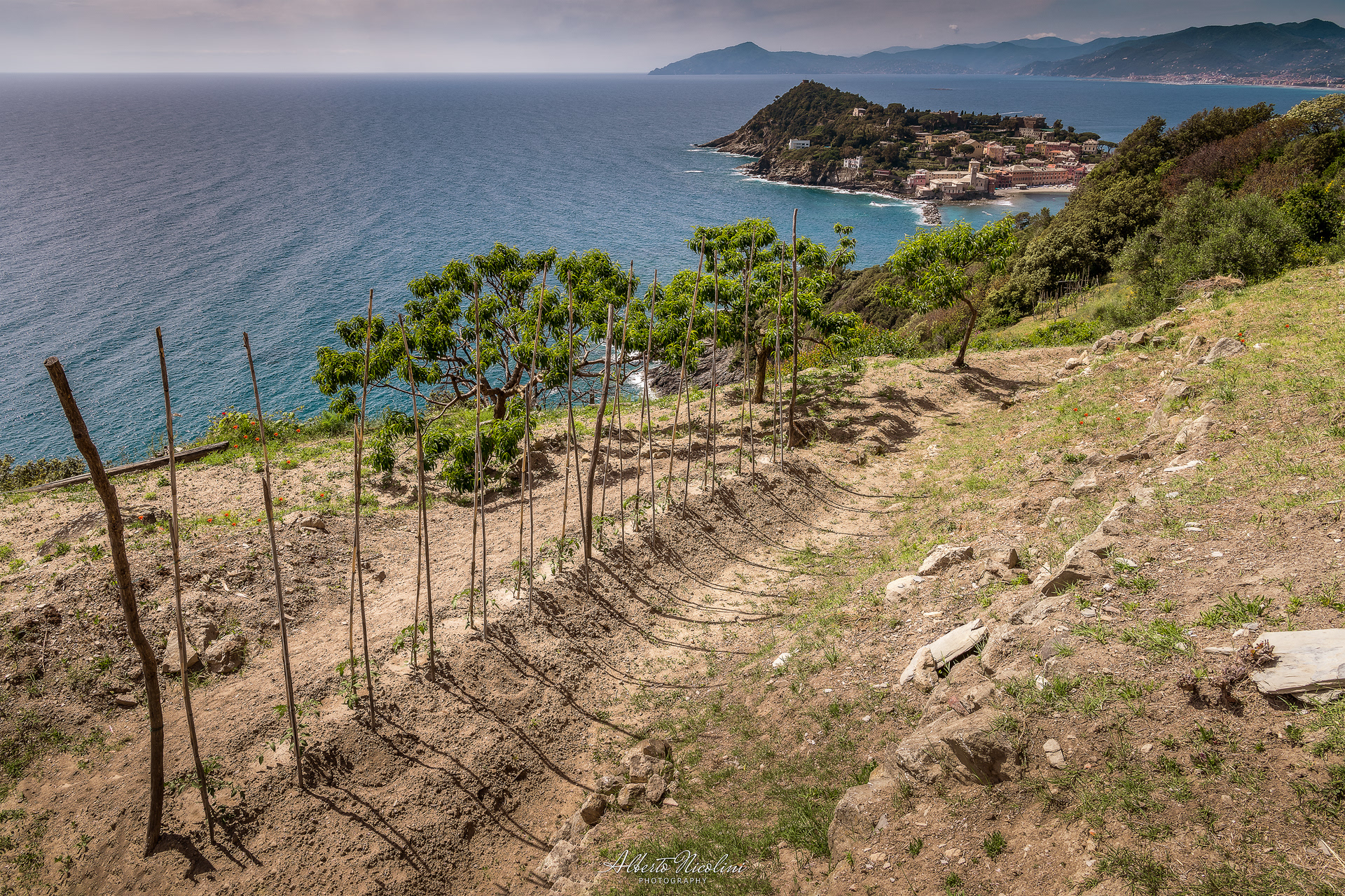 Orti di Liguria