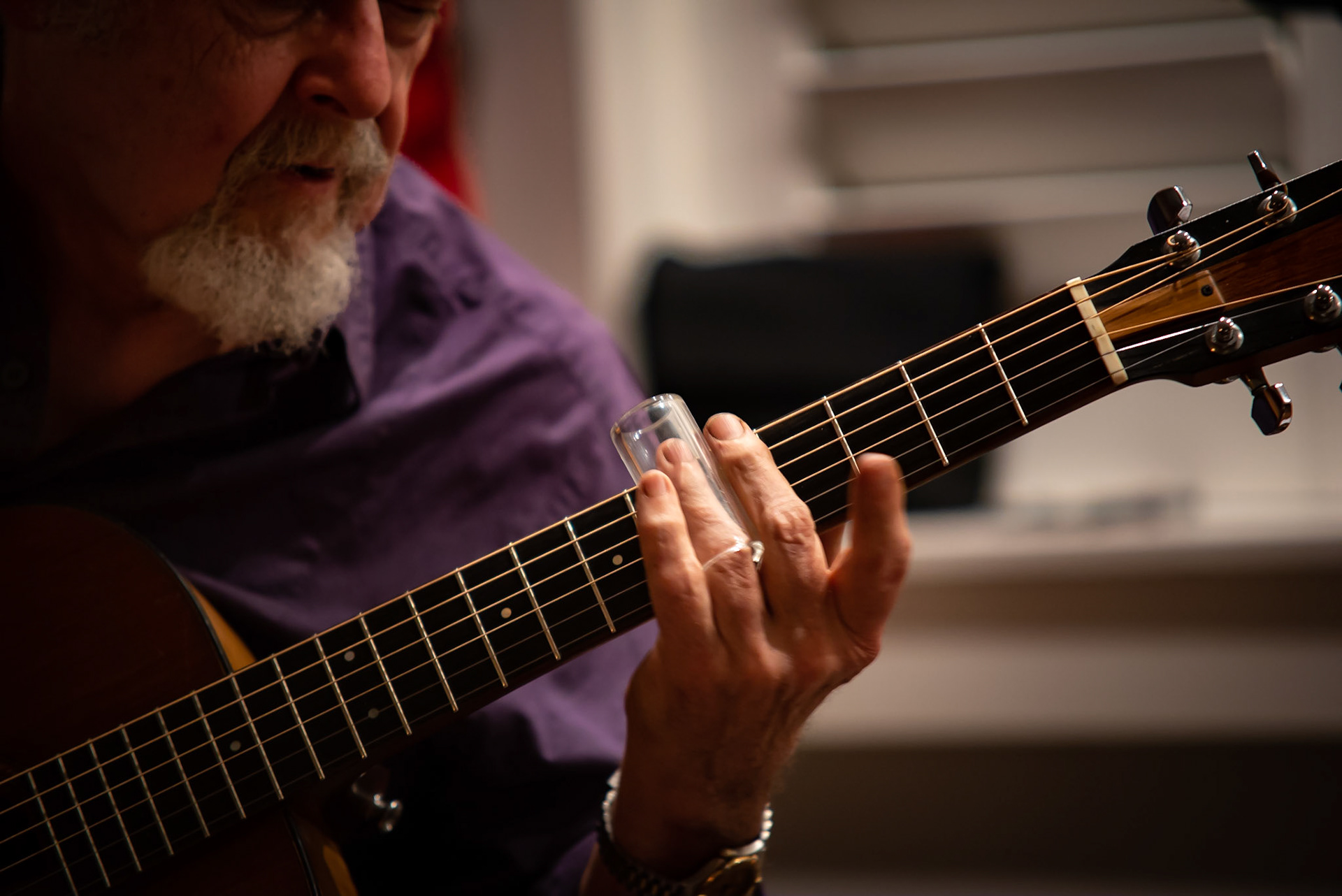 David Essig - House Concert