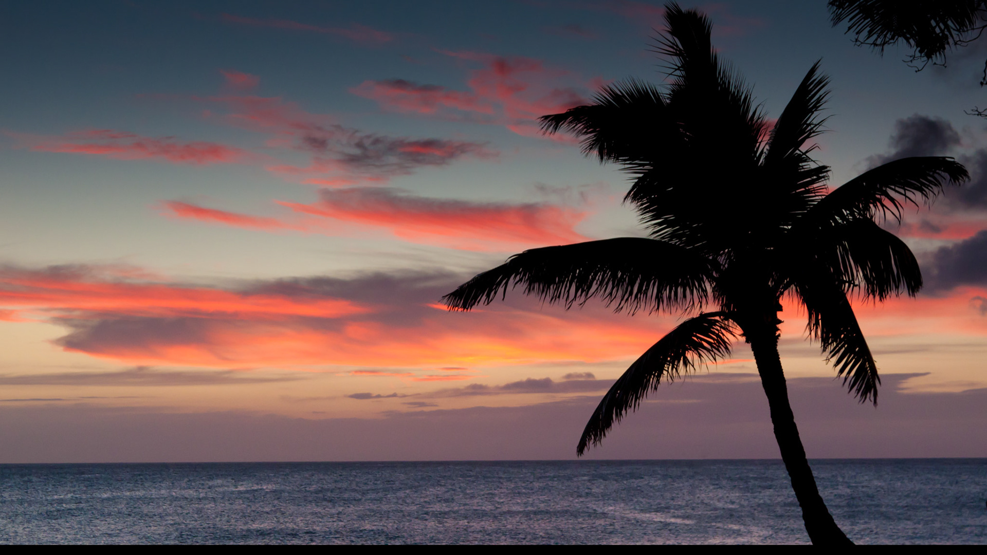 Waikiki, Honolulu, Hawaii