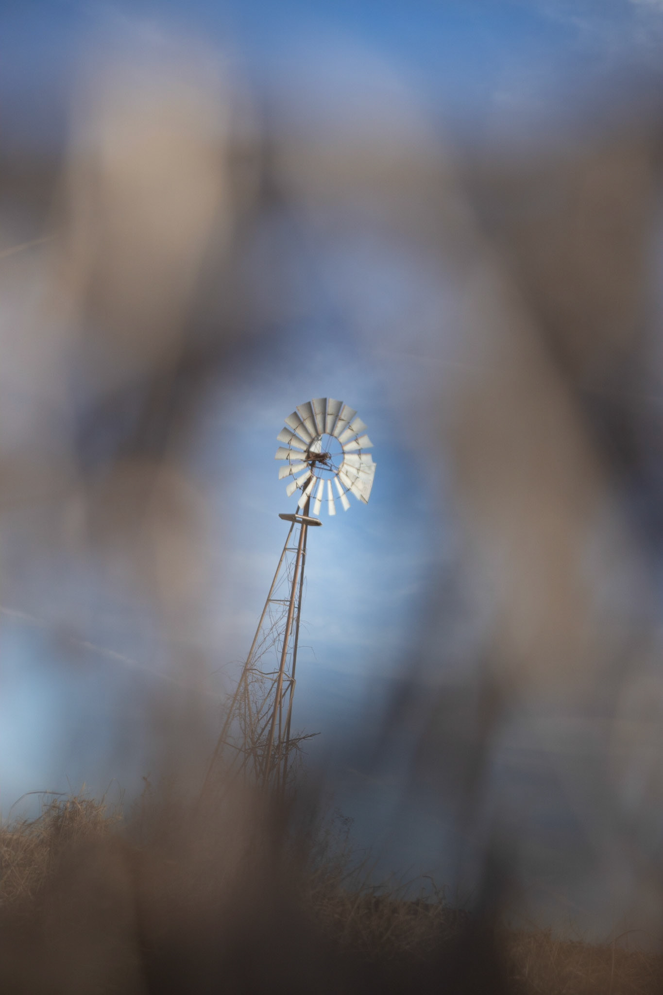 windmills