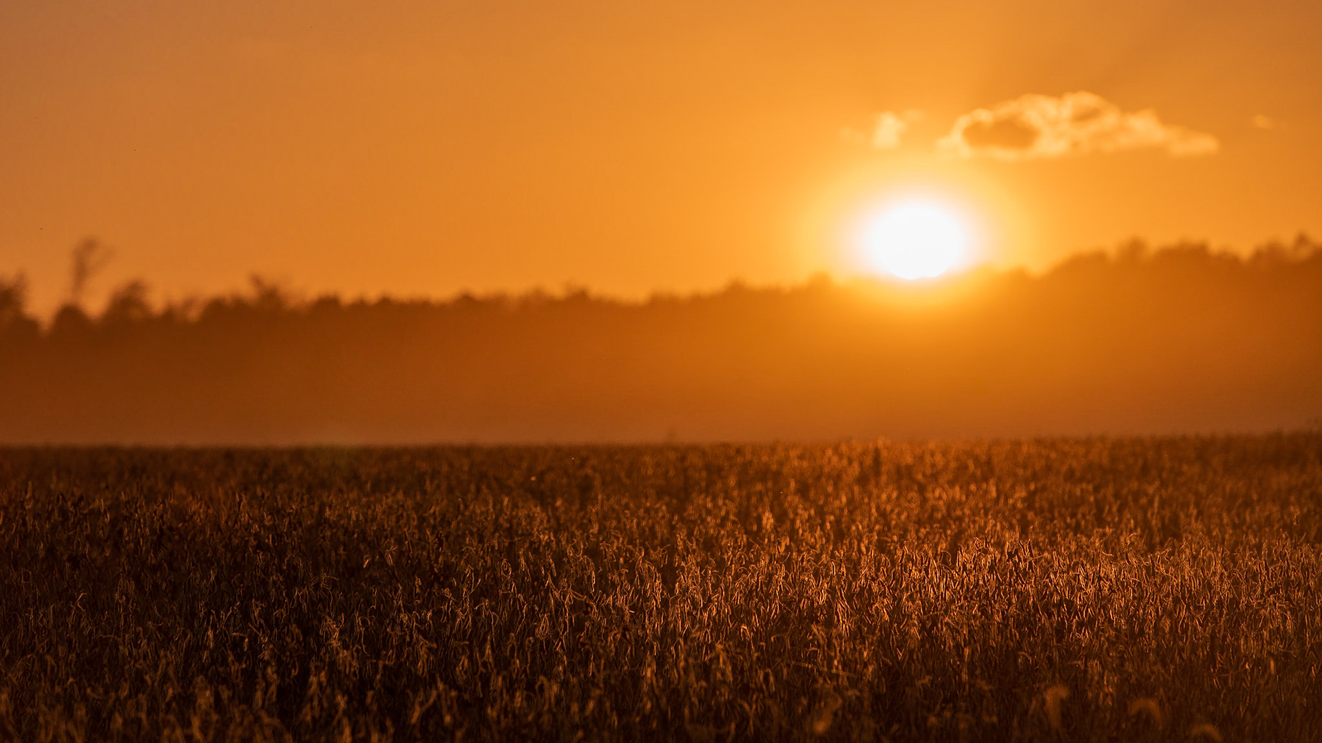 Ted Somerville Photography Indiana Farm Bureau