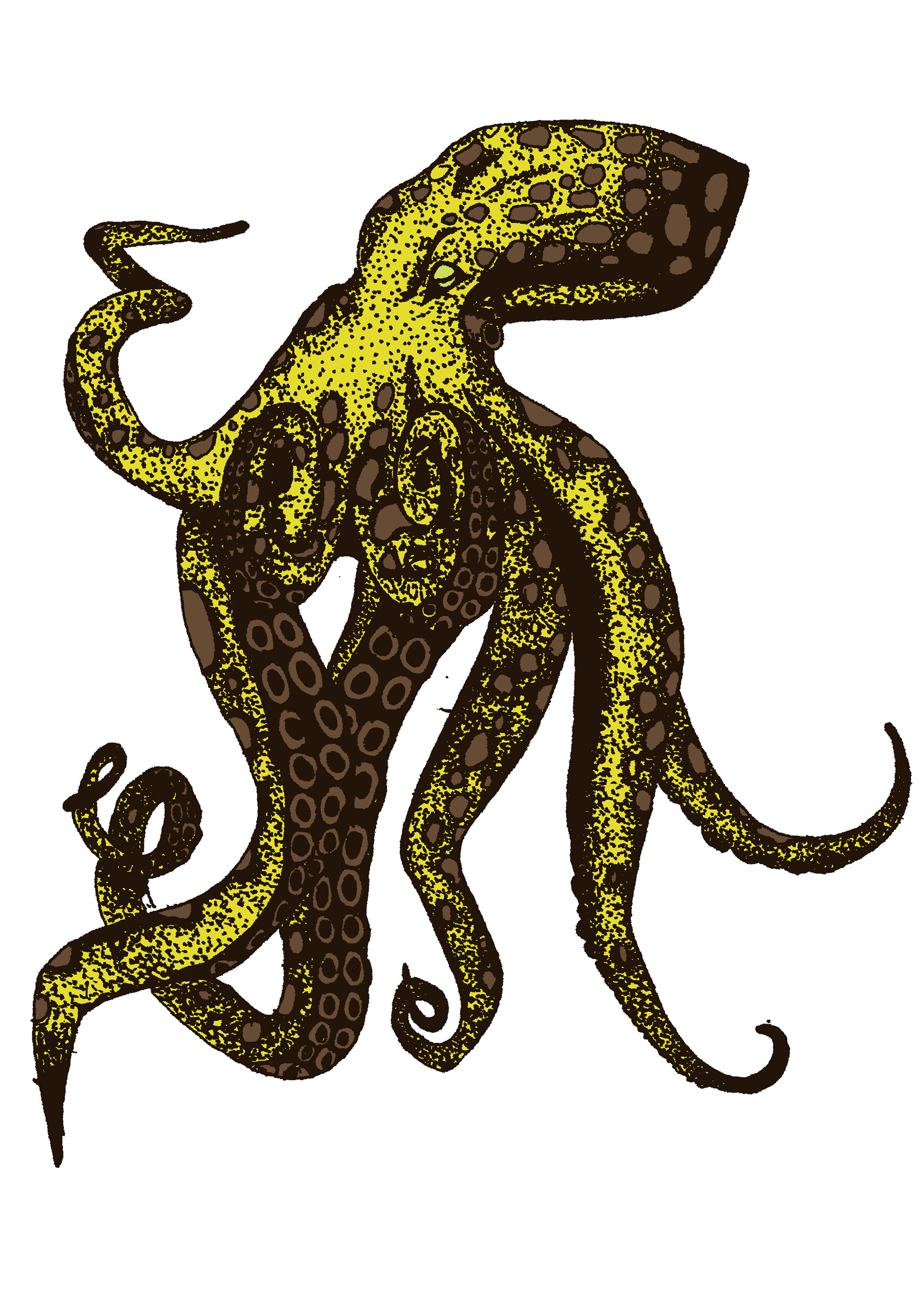 Octopus banana