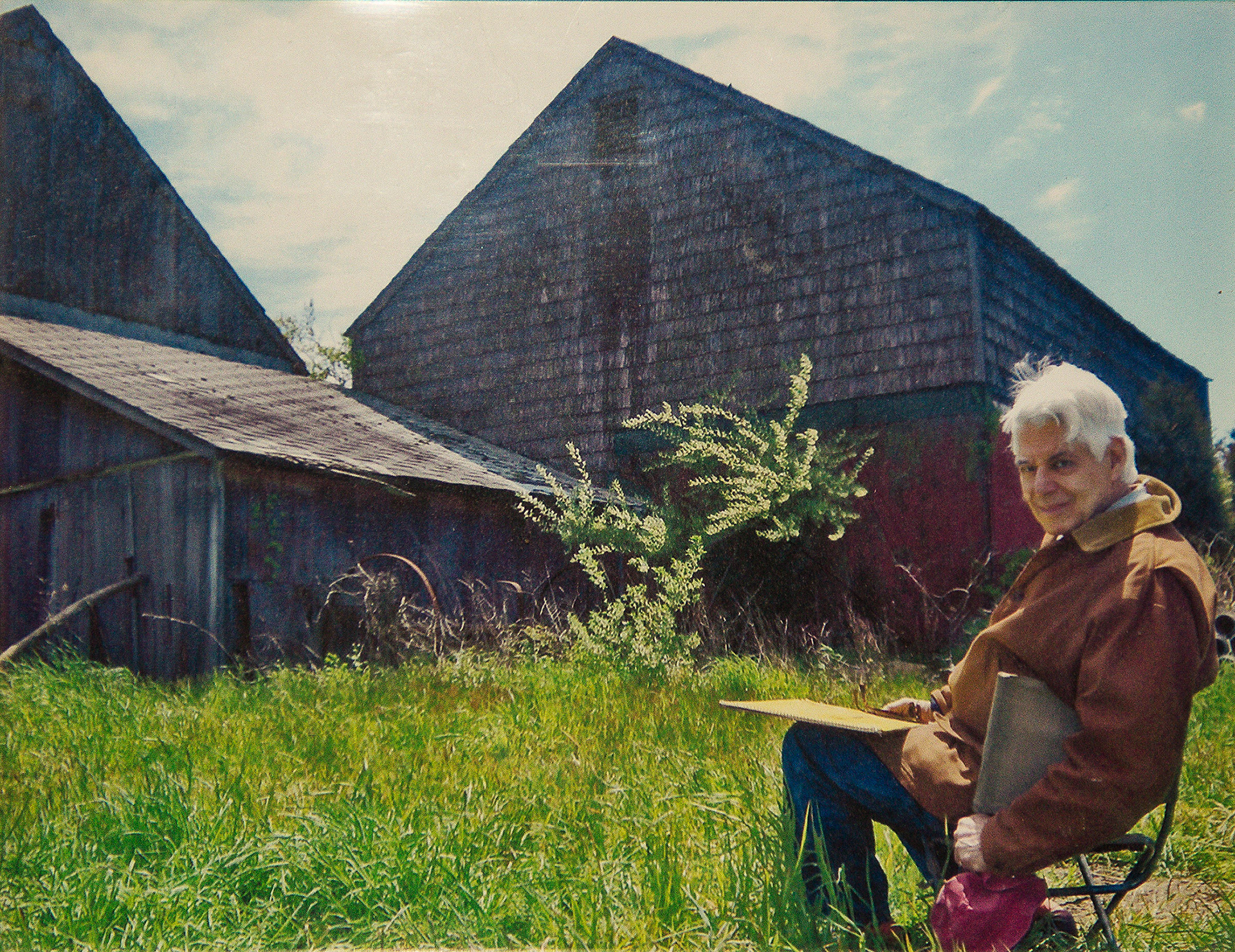 Portrait - artist Wolf Kahn