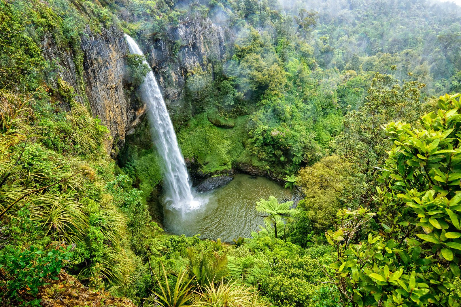Bridal Veil Falls - Waikato
