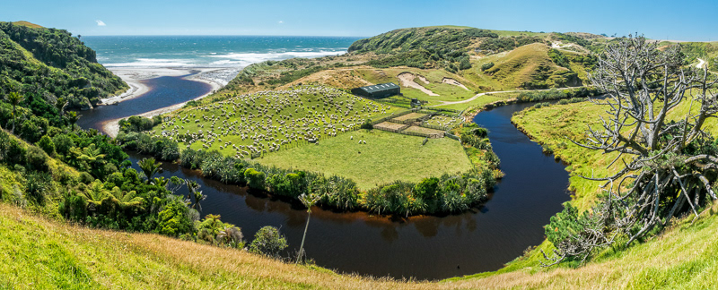 Kowhai Creek - Tasman