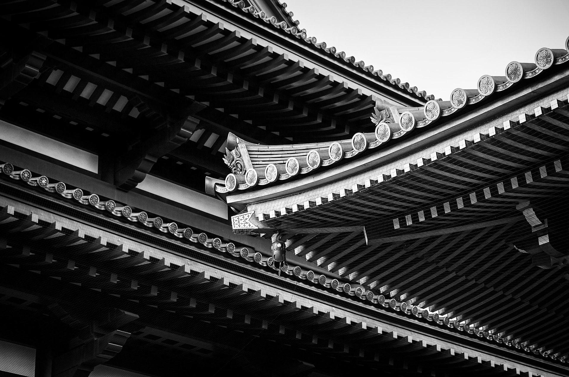 Temple Roofs Tokyo Japan 1