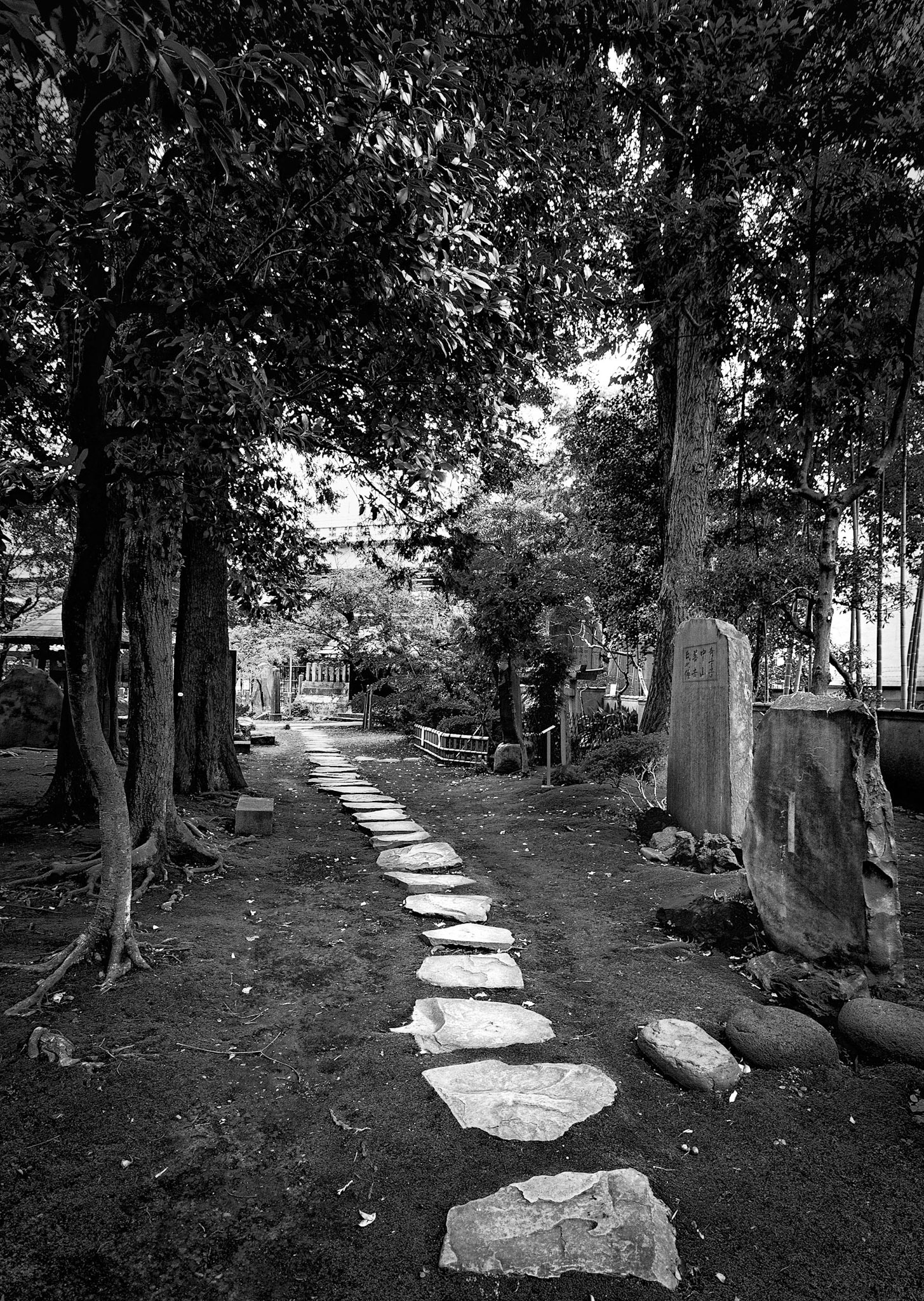 Stone Stepping thru the Garden