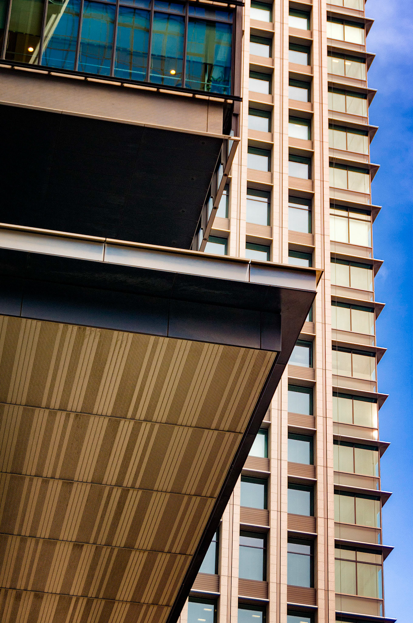 Lines and Rectangles