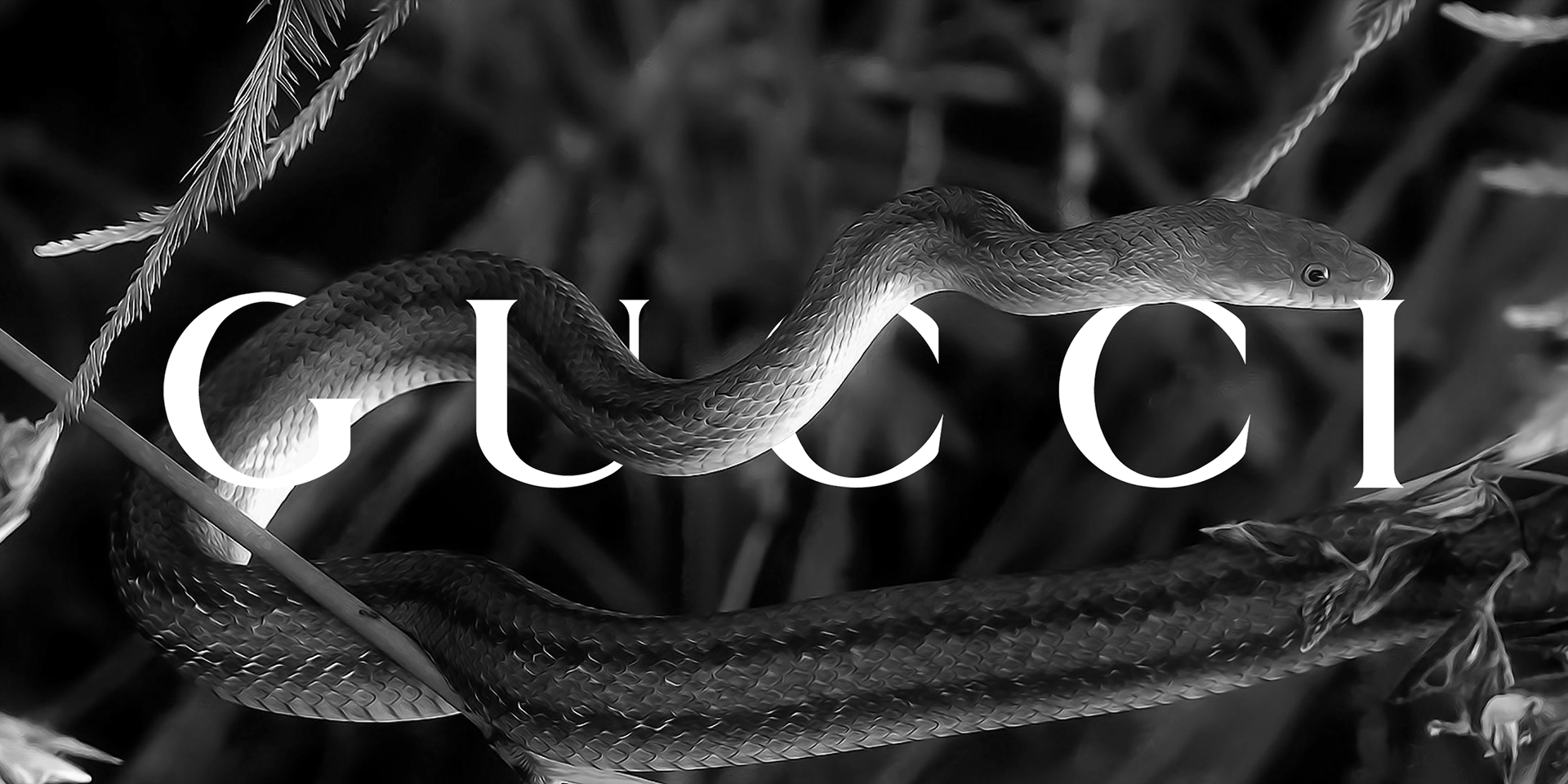 Gucci And The Snake