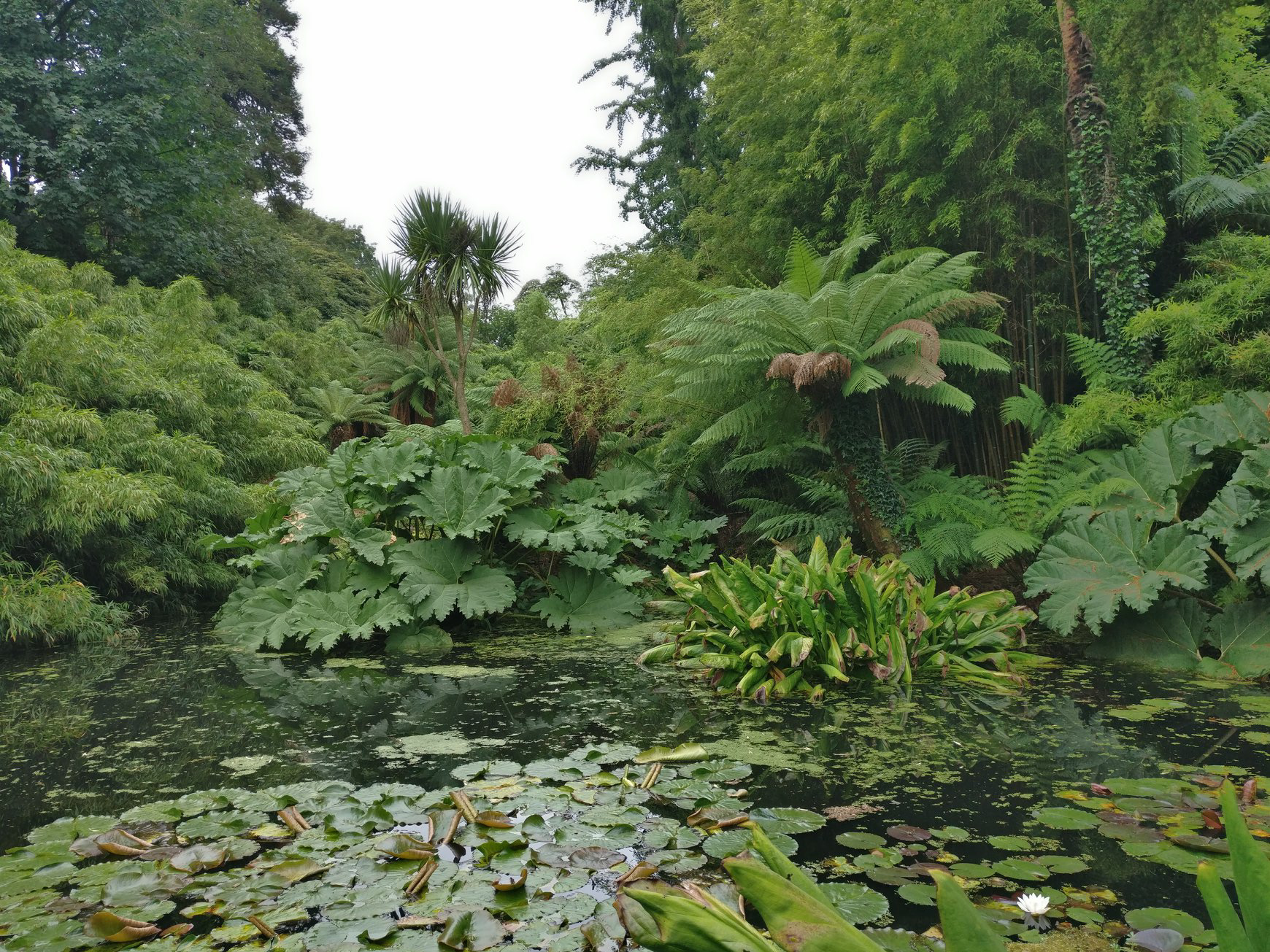 The Lost Gardens of Heligan