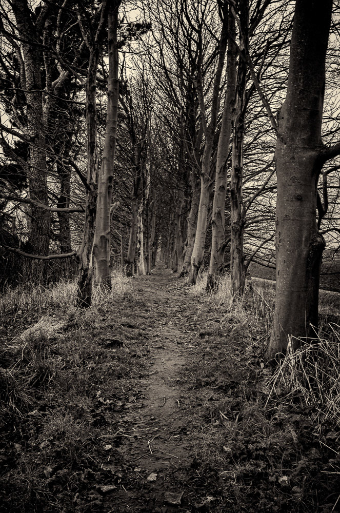 On the Roman Sea Bank