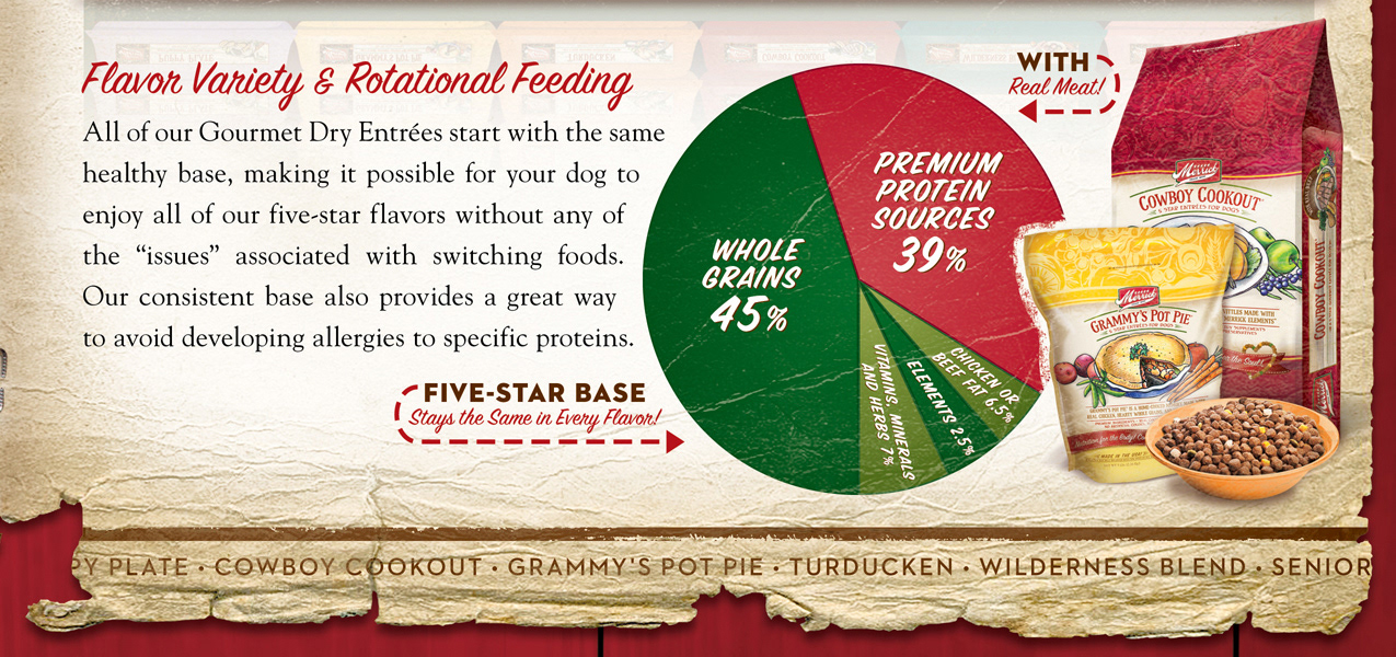 Rollins Design Co. Merrick Pet Care ISO