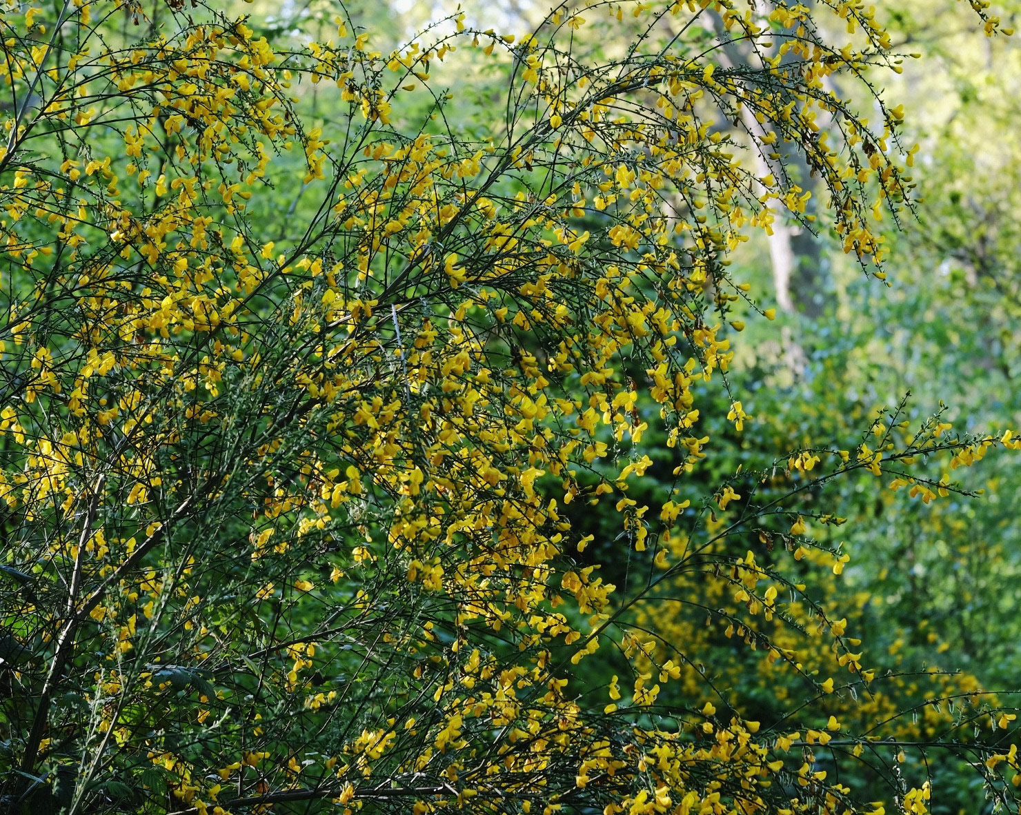 April