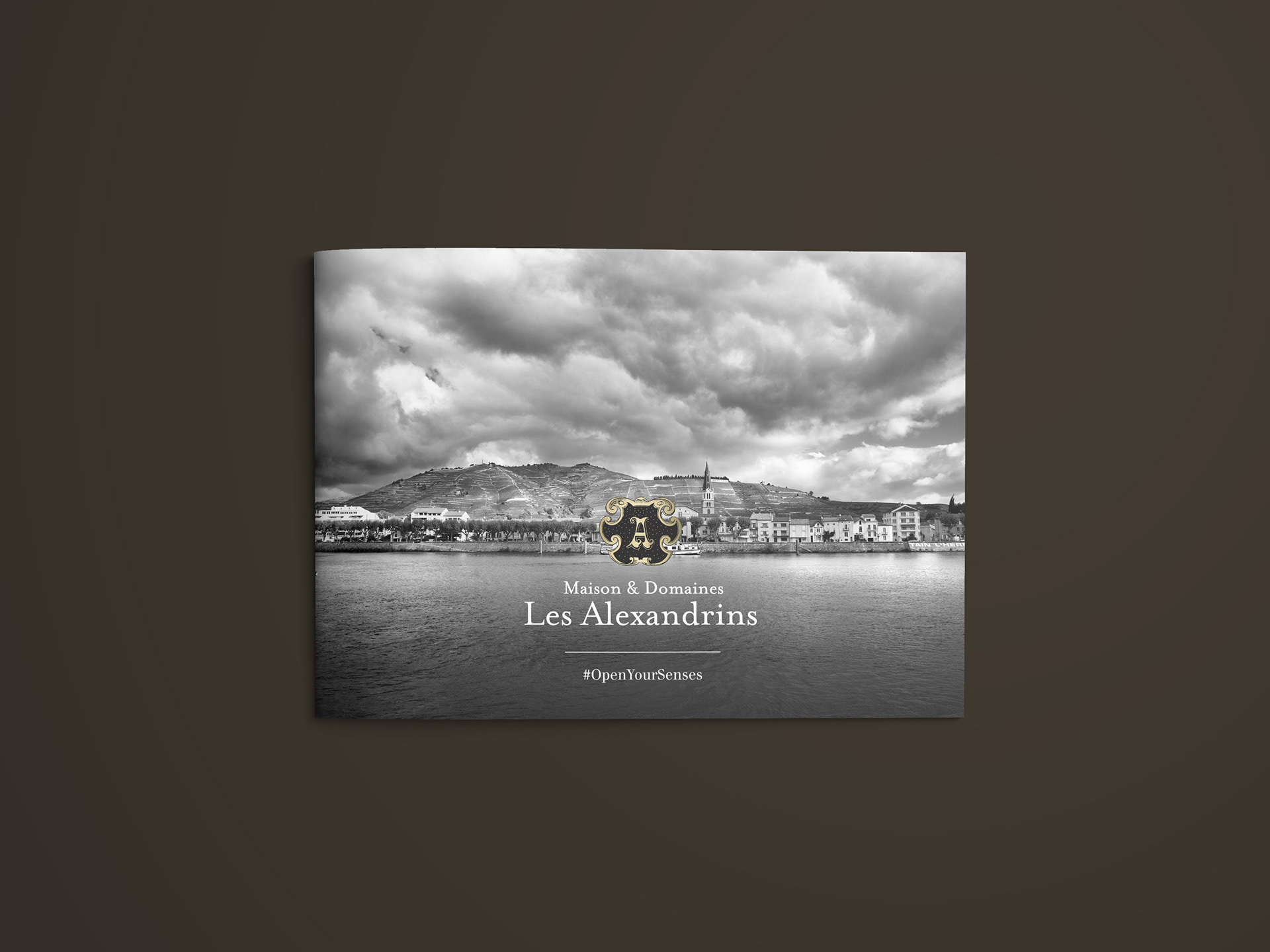 PLAQUETTE LES ALEXANDRINS