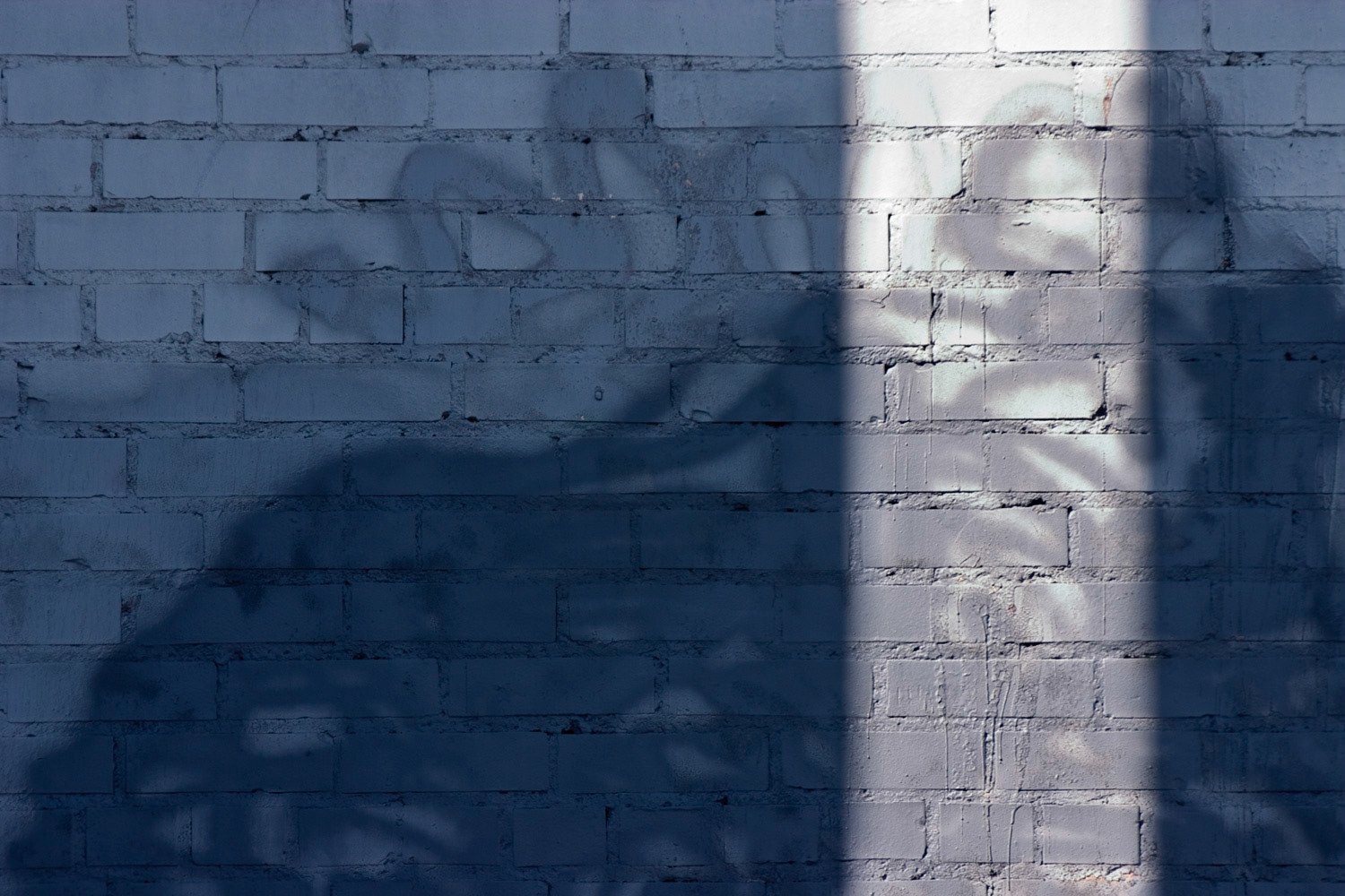Detag No. 265, 84115; Pigment print, 14 x 21 inches; © 2010