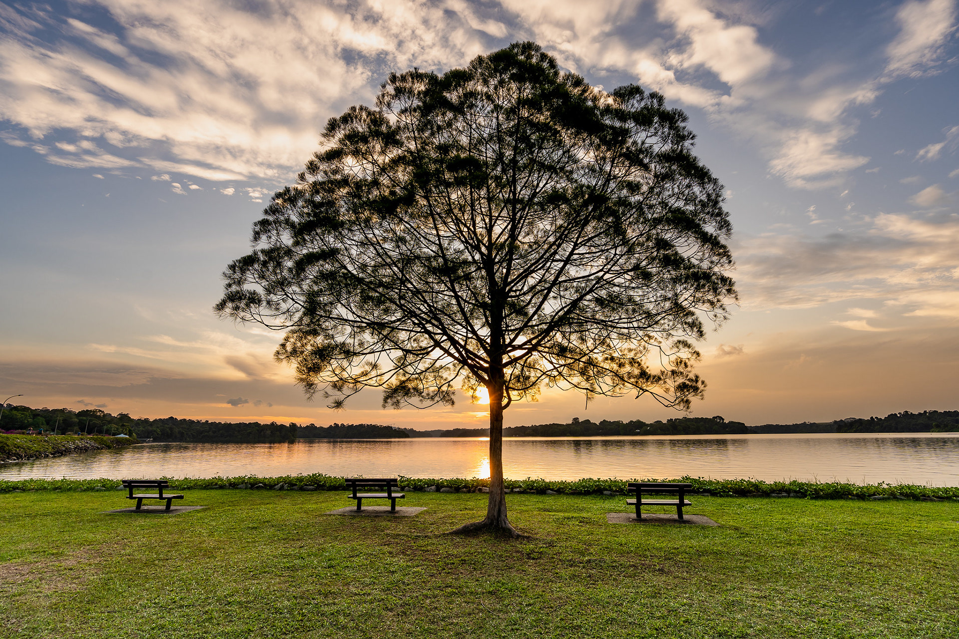Upper Seletar Reservoir (2019)